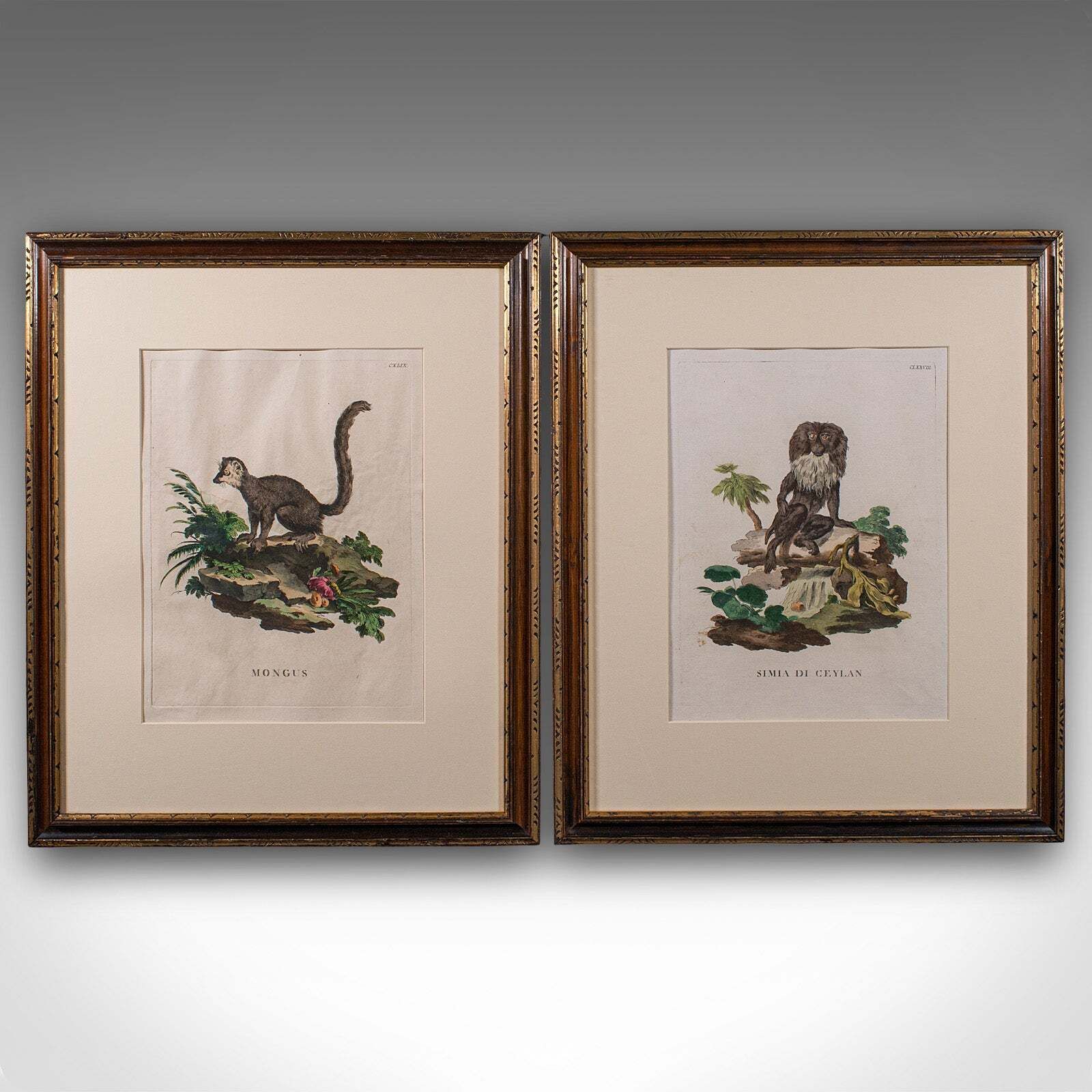 Pair Of Antique Animal Portraits, French, Framed Pictures, Natural Art, Georgian photo furniture