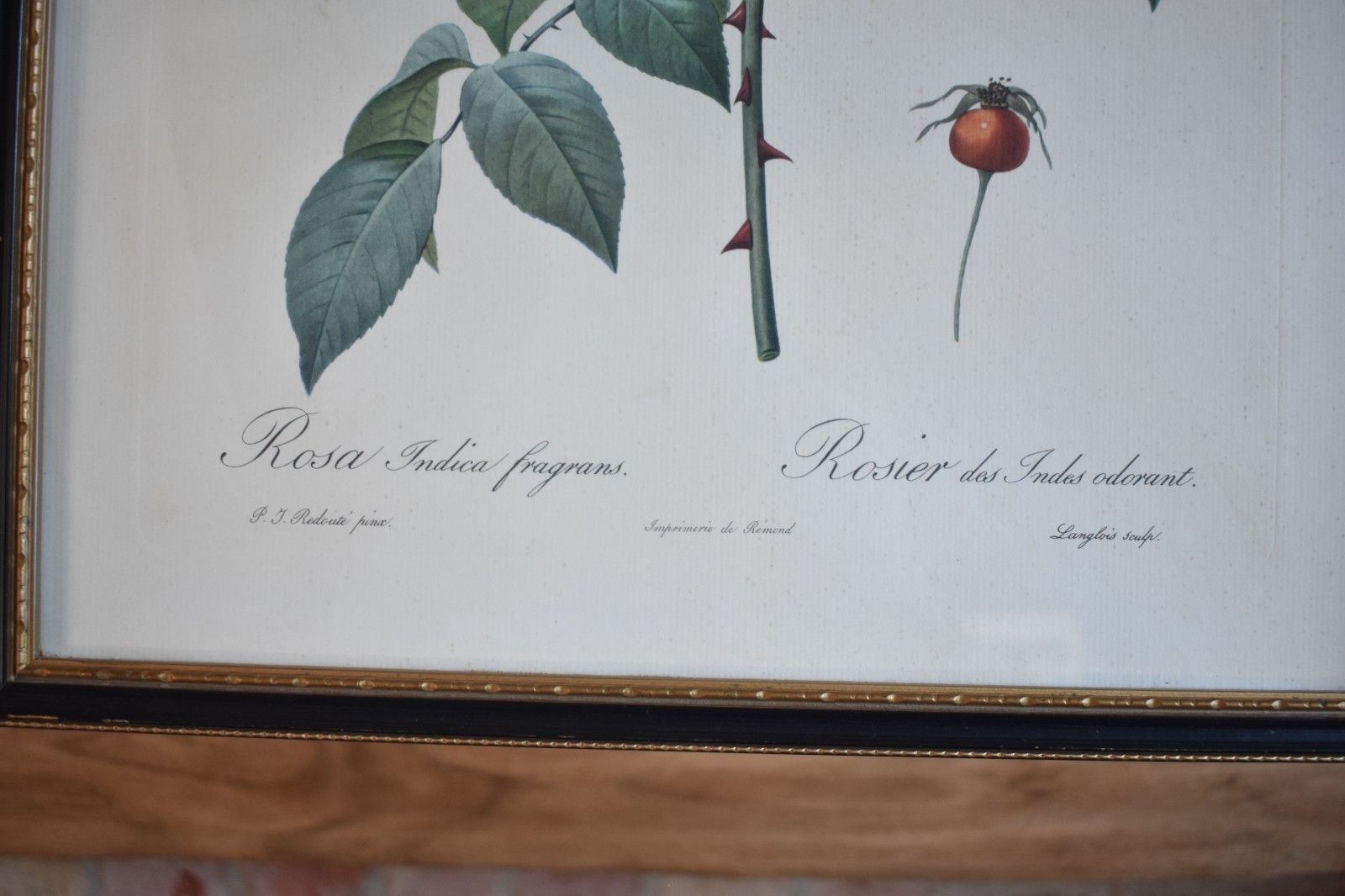 90.0 Vintage Set Of 6 Black Framed Rose Prints Flower Aged Wooden Frame Gallery Wall photo