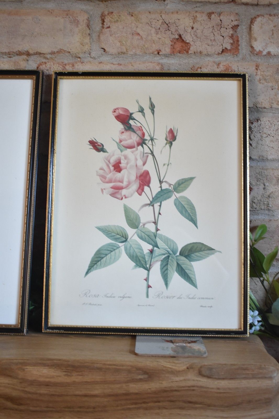 photo buy Vintage Set Of 6 Black Framed Rose Prints Flower Aged Wooden Frame Gallery Wall