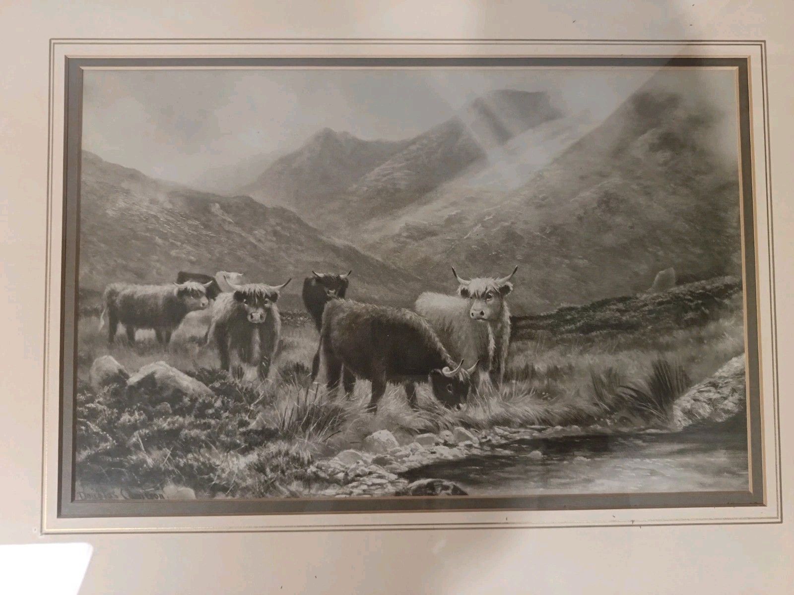 Antique Intaglio Print 'A Glint In The Storm' By Douglas Cameron Highland Cows photo Art