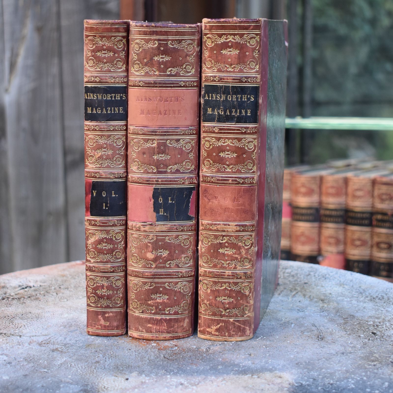 Antique 1842 1847 William Harrison Ainsworth Magazine Half Leather Books Set 11 photo Home Decor