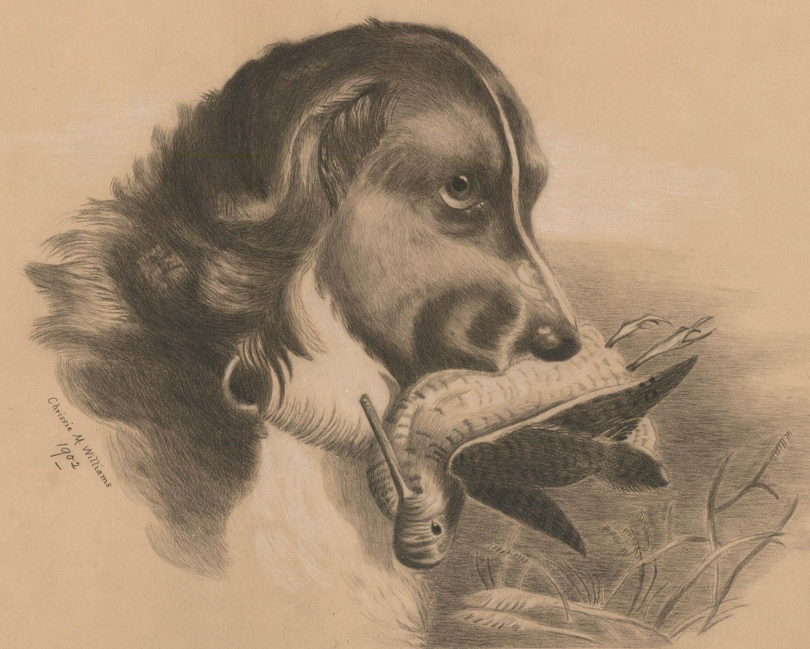 Chrissie M. Williams 1902 Coloured Pencil, Dog With A Bird photo furniture