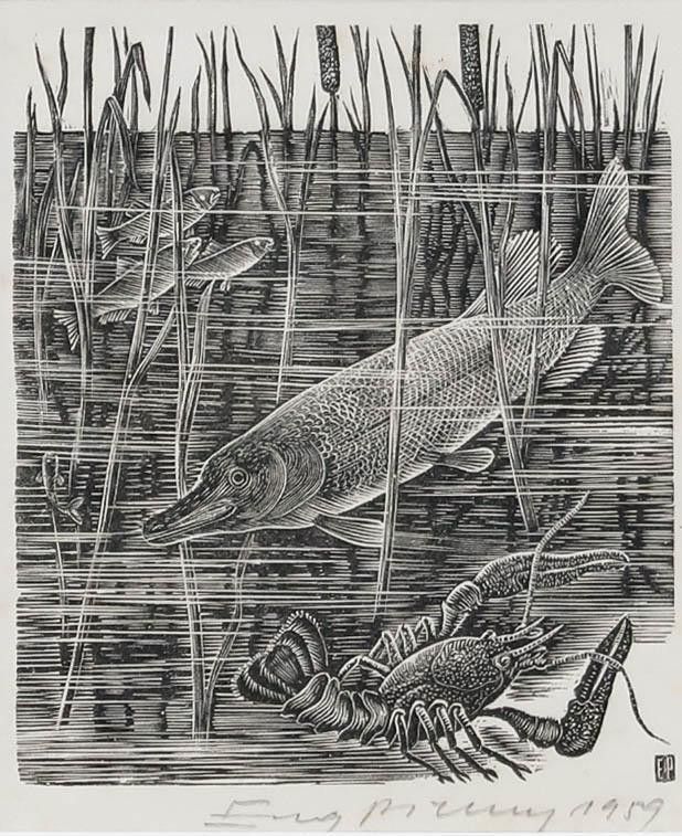 Eugene Pichell (1905 1976) Framed 1959 Wood Engraving, Amongst The Bulrushes photo furniture