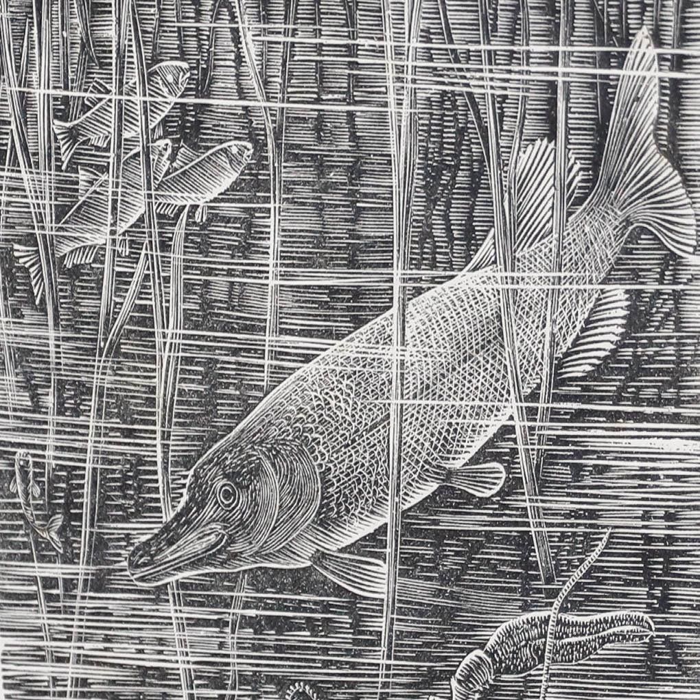 Eugene Pichell (1905 1976) Framed 1959 Wood Engraving, Amongst The Bulrushes photo Art