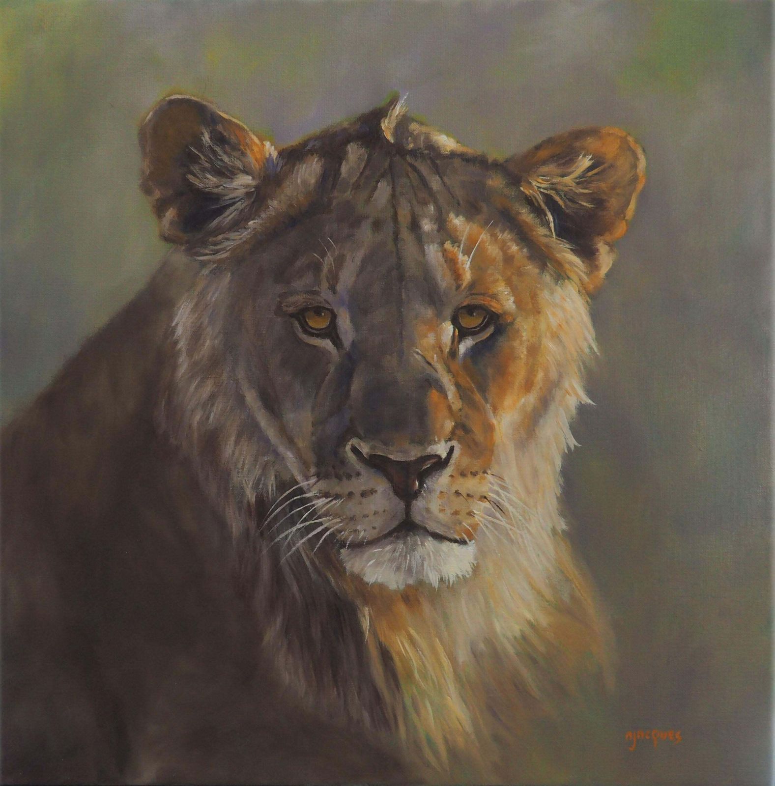 Sylvie Ajacques Young Lion Oil On Canvas By Sylvie Ajacques2025
