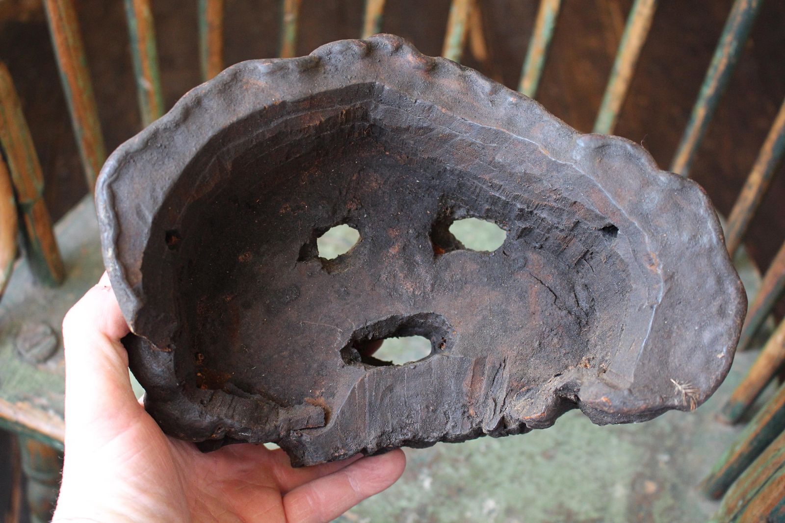 404.0 Early 20th C Polypore Shelf Fungi Natural History Nepalese Fog Eater Mask photo