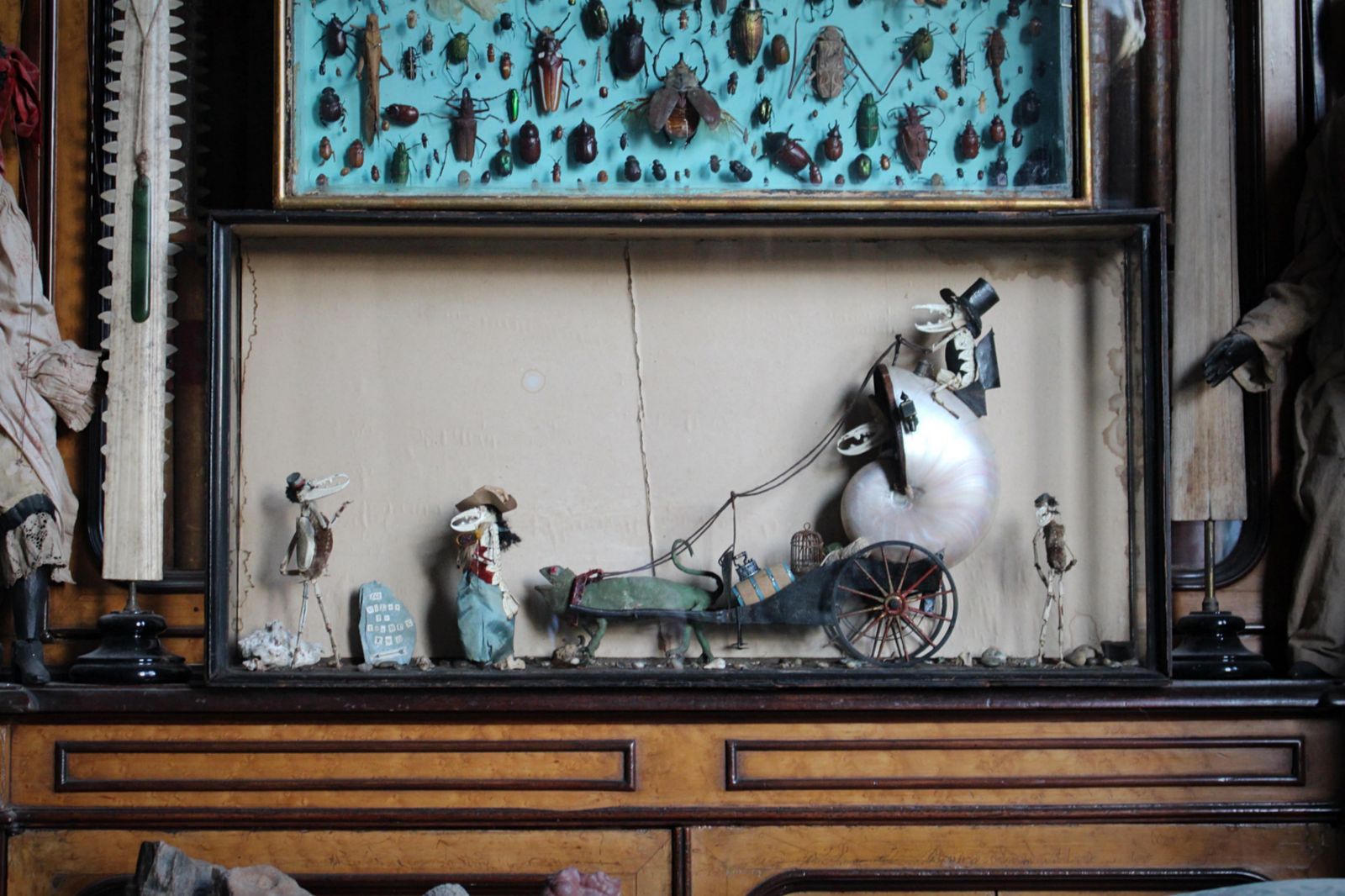 photo furniture 19th C Anthropomorphic Chameleon & Crustacean Taxidermy Scene Walter Potter
