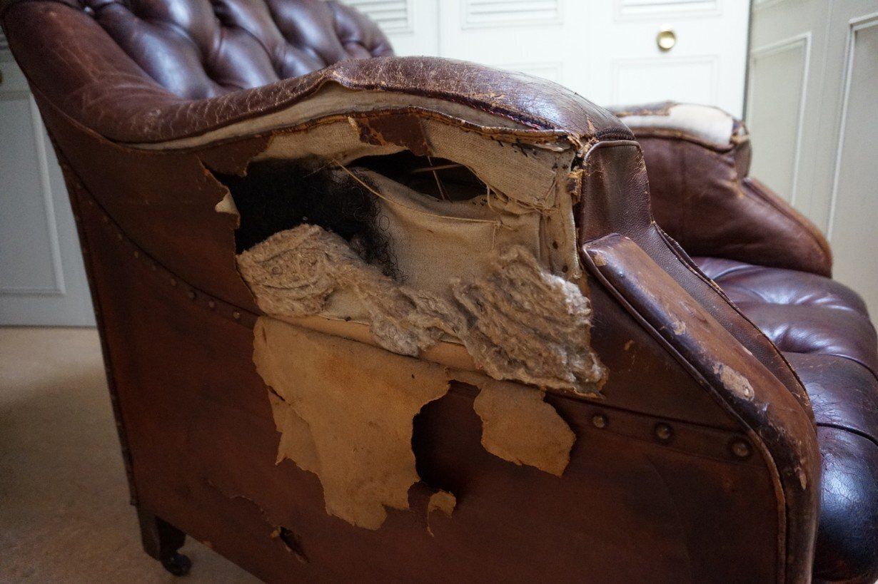 19th Century Distressed Leather Chesterfield Library Armchair photo for sale