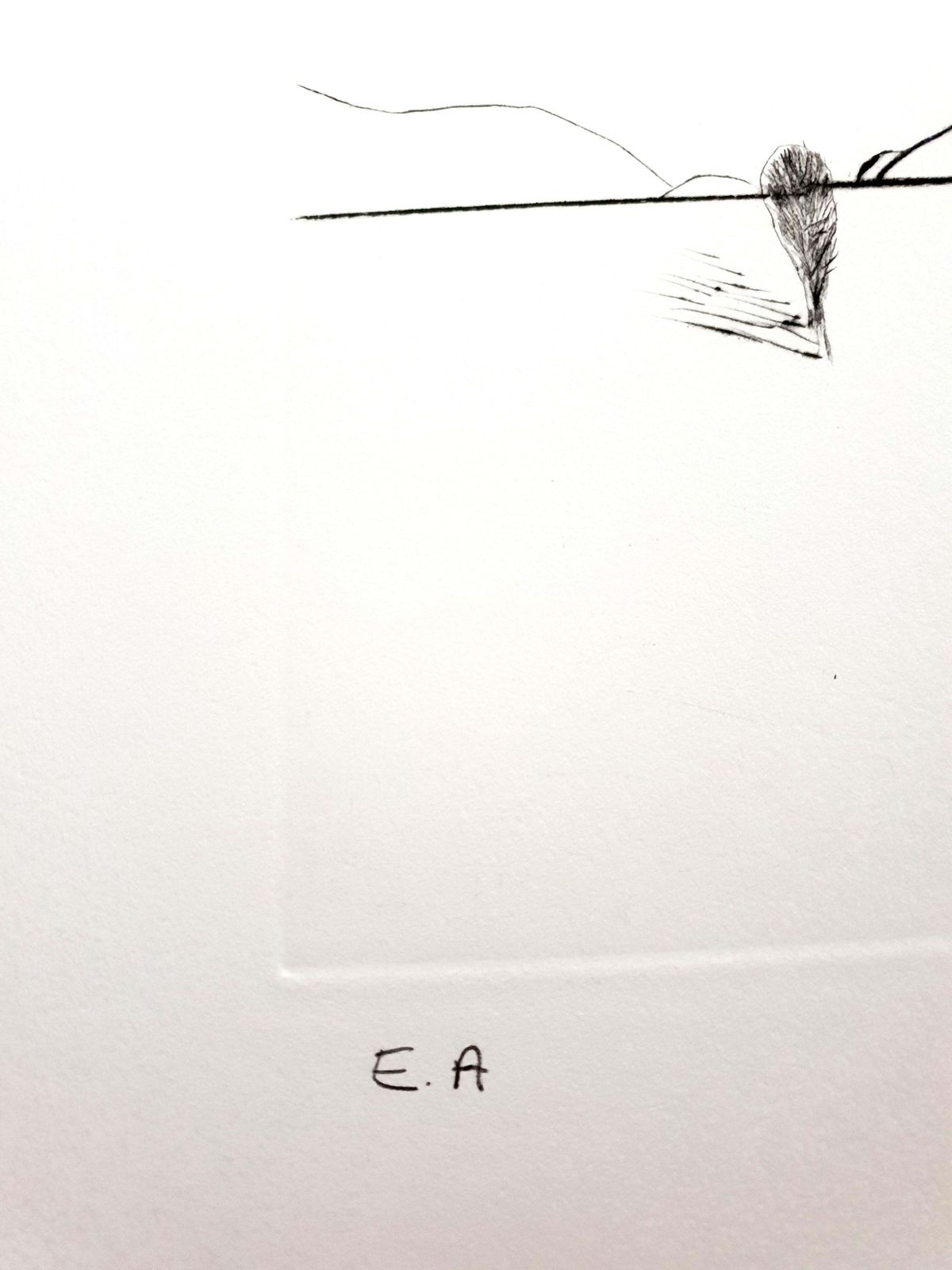 Salvador Dalí­Salvador Dali   Erotic Grapefruit   Original Hand Signed Lithograph1969 photo Art