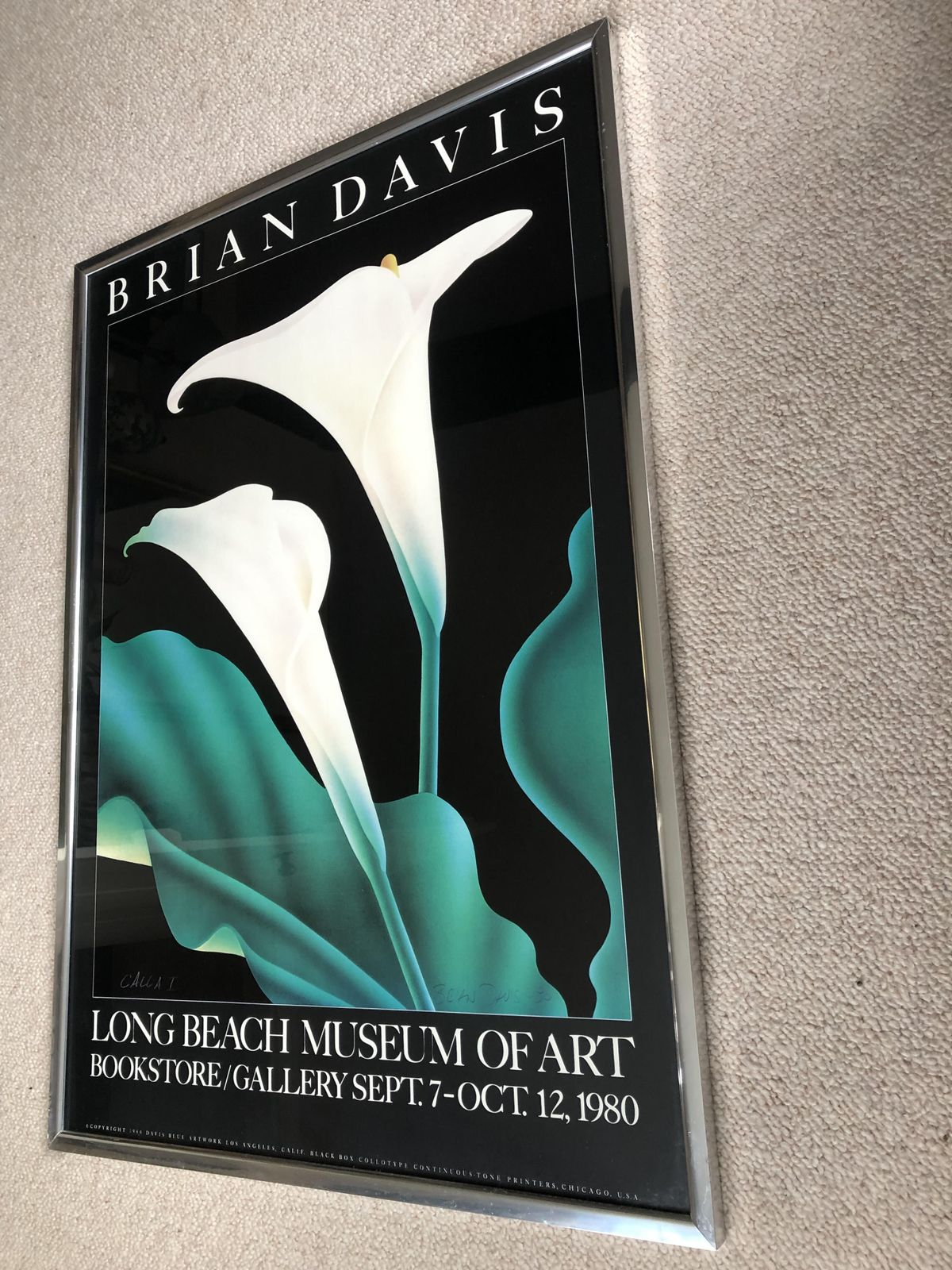 "Calla I" Framed Poster From The Long Beach Museum Of Art, California photo for sale