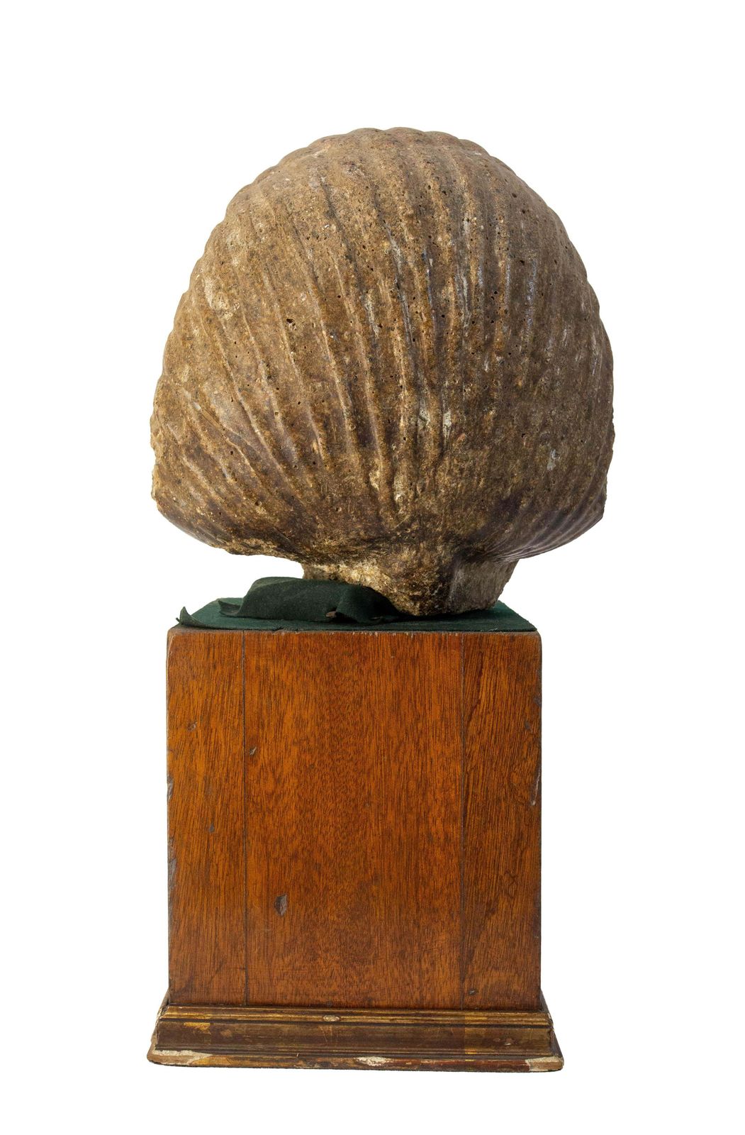 Egyptian Cement Pharaoh Bust Statue I Pedestal Late 19th Century photo buy
