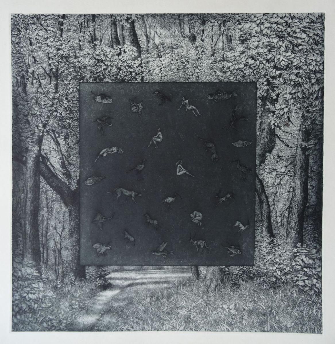 Nele Zirnitegreen Frame. Paper, Etching, Aquatint, 43x42 Cm1992
