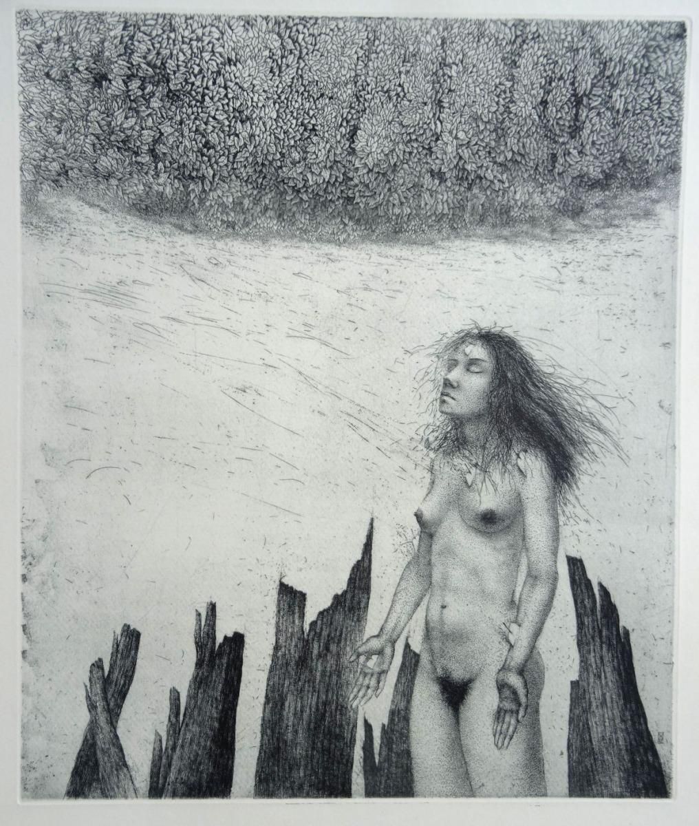 Nele Zirniteorigin  Paper, Etching, 42x36 Cm2010