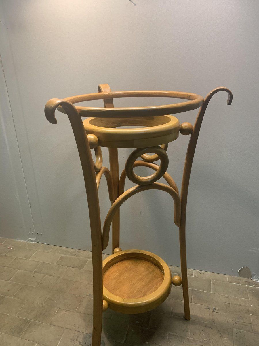 Bent Beech Vase Holder By Michael Thonet For Thonet, Late 19th Century, Austrai, 1890s photo for sale