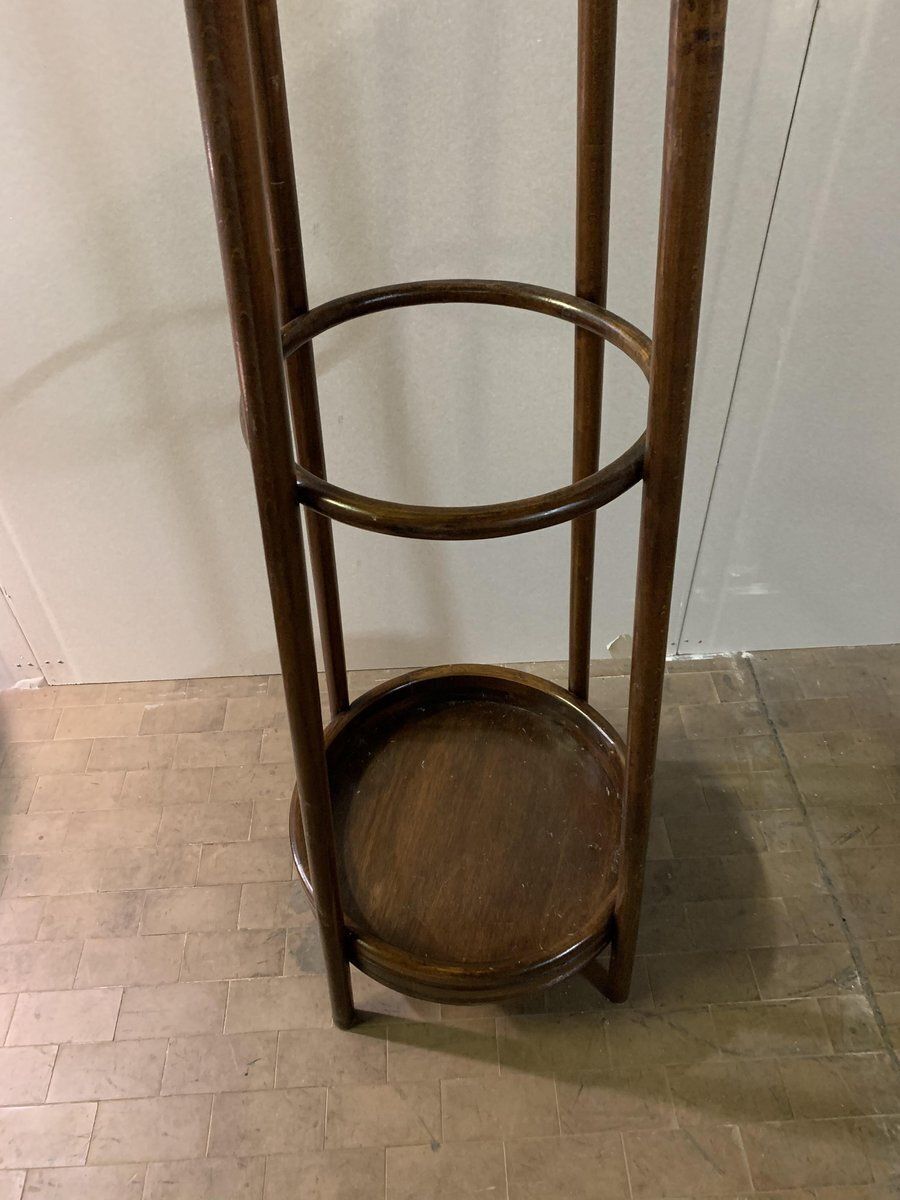 Coat Stand In Bent Beech With Hat Rack And Umbrella Stand By Michael Thonet For Thonet photo for sale