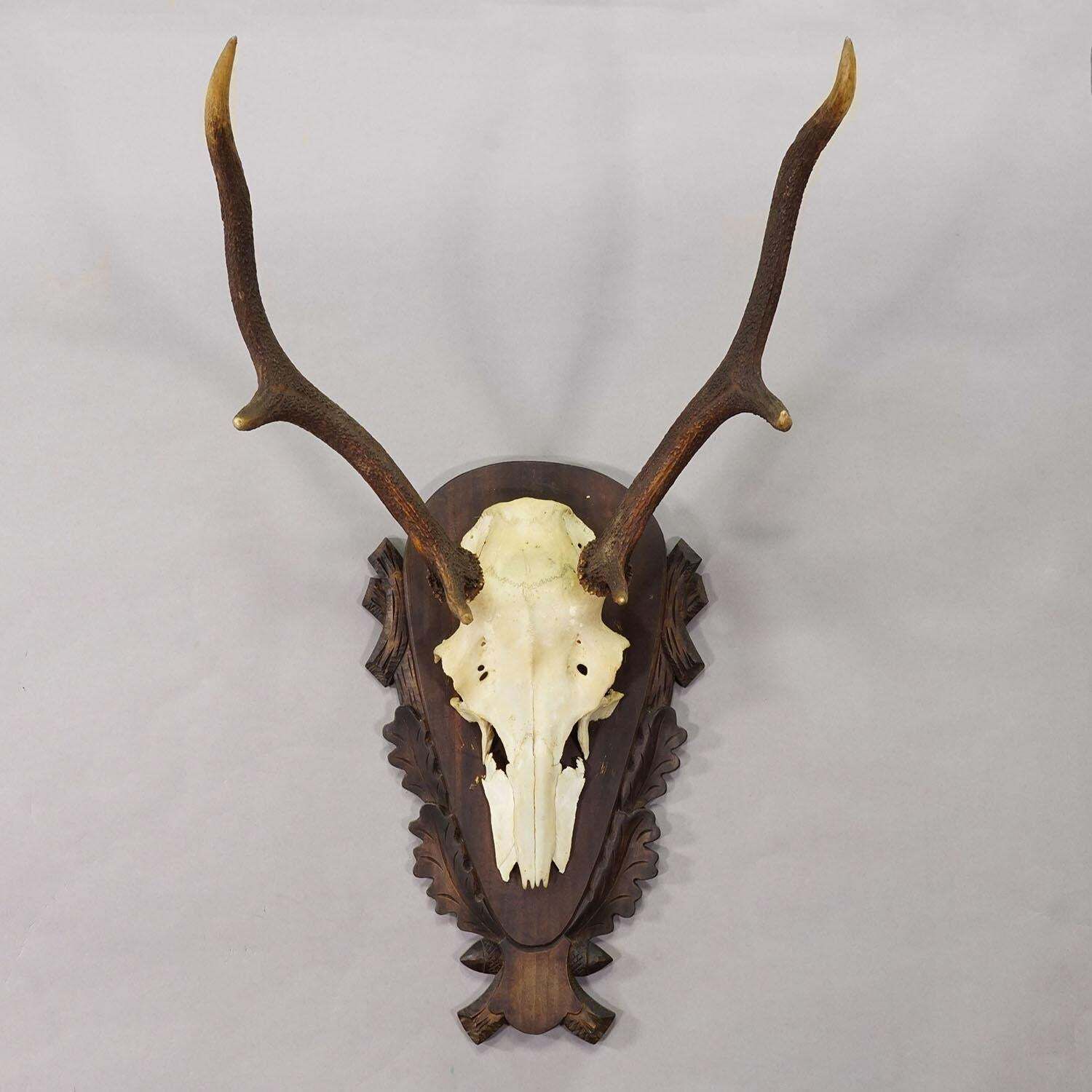 Large Black Forest Red Deer Trophy On Carved Plaque   Germany 1930 photo furniture