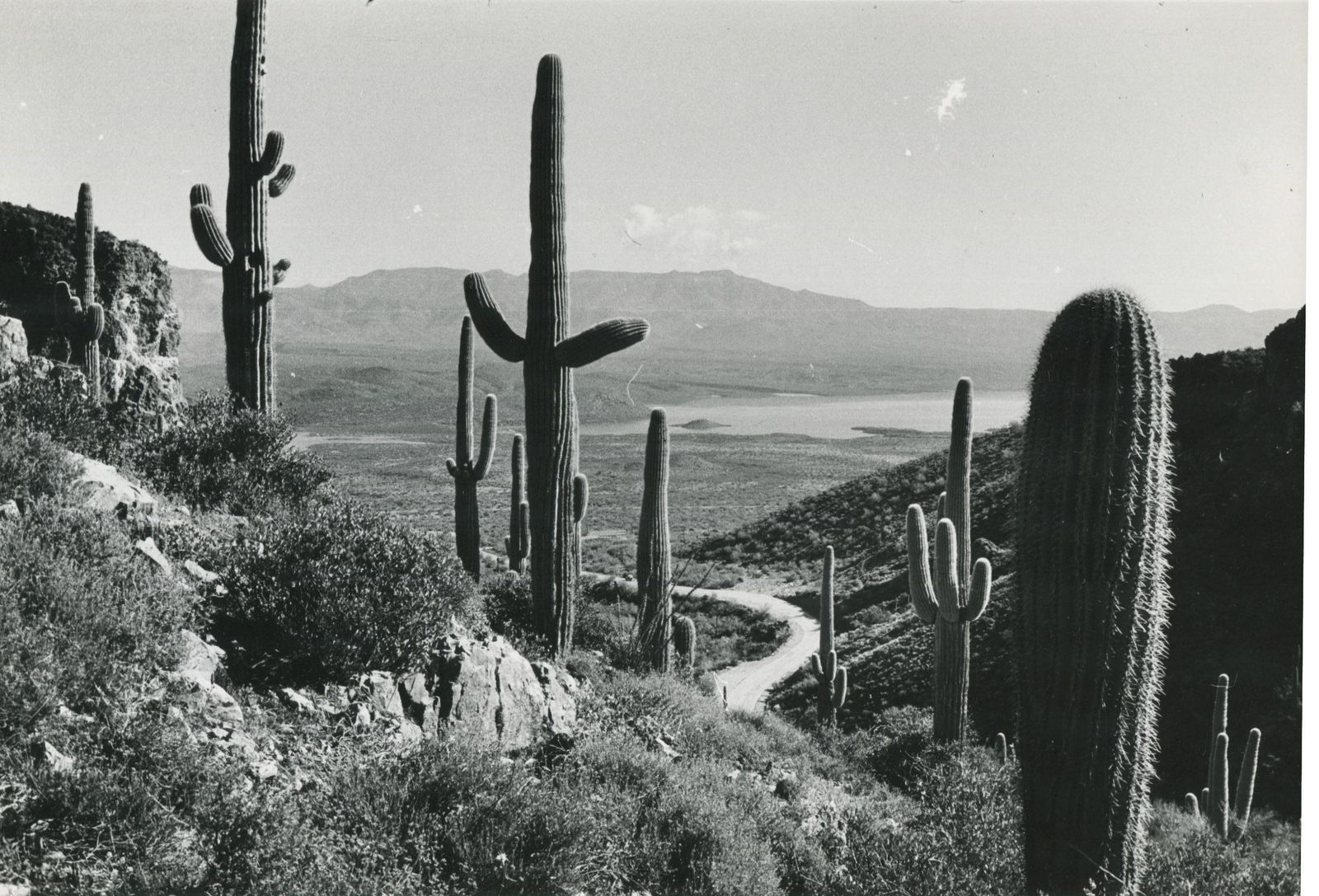 Erich Andresmojave Desert, California, Black And White, USA 1960s, 16.0 X 23, 7 Cm1960s