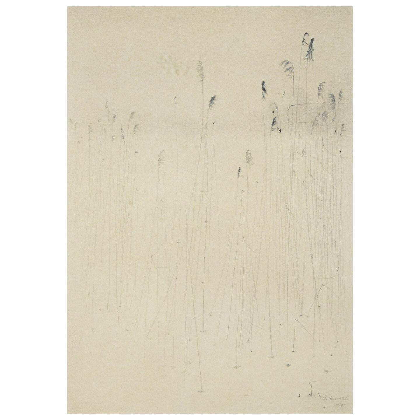 Gunnar Norrman, Sweden. “Vinterstrån”, 1971. Pencil On Paper.