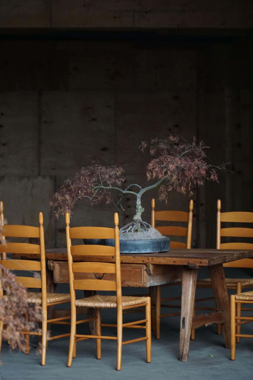 photo for sale Set Of 8 Italian Modern Dining Chairs, Beech With Woven Seats, 1960s