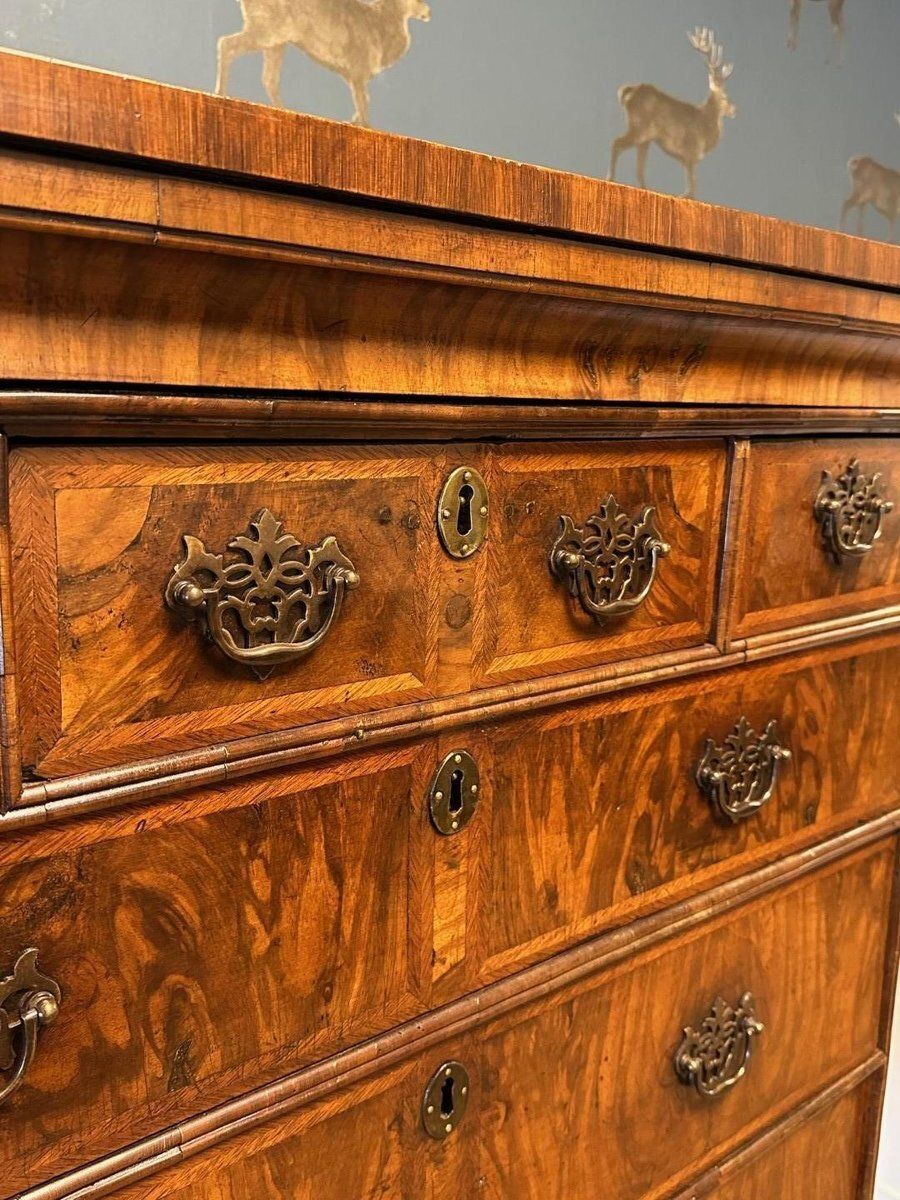 Antique Burl Walnut Chest, 18th Century photo furniture