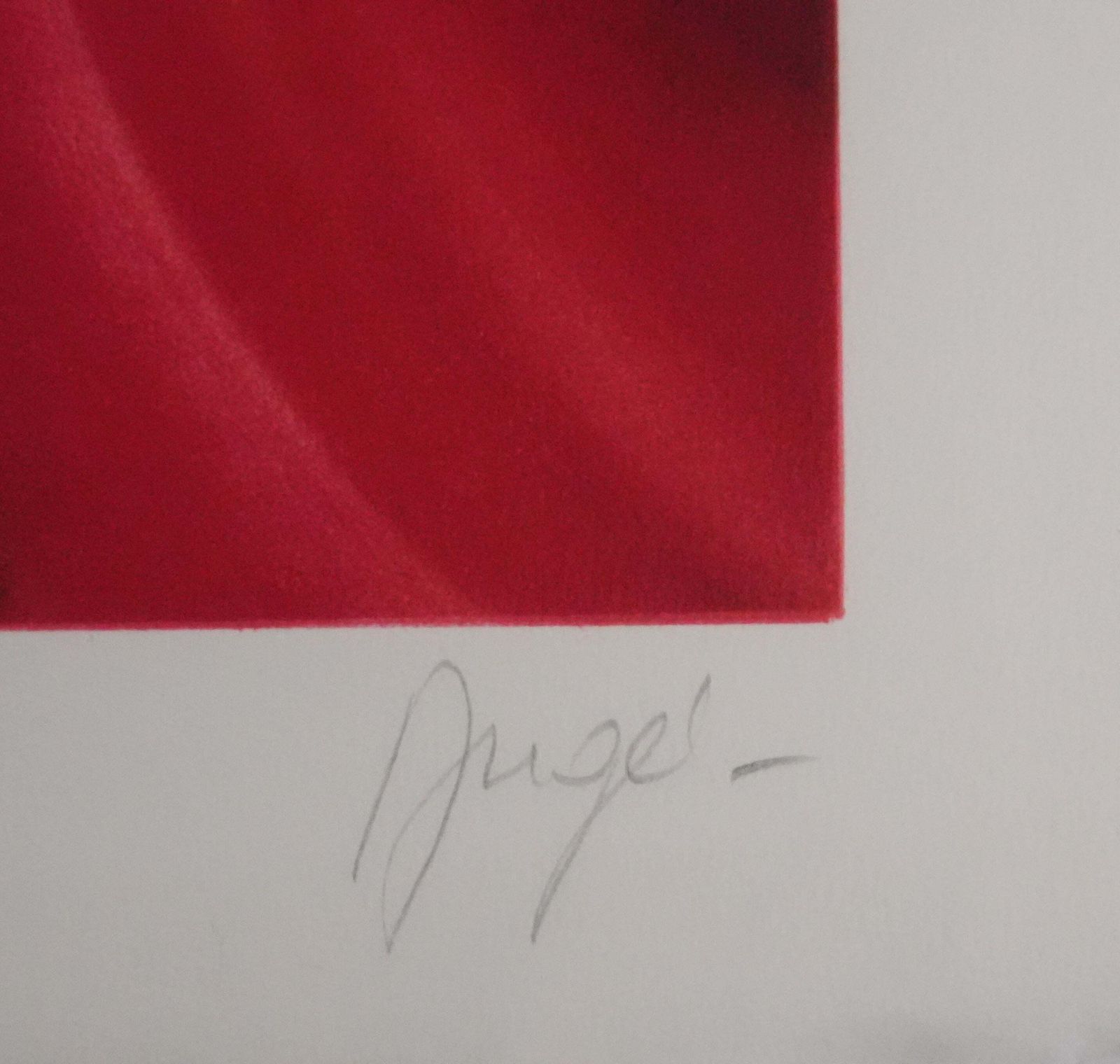 Philippe Augéthe Women In Pink Dress   Original Handsigned Lithograph1985 photo furniture