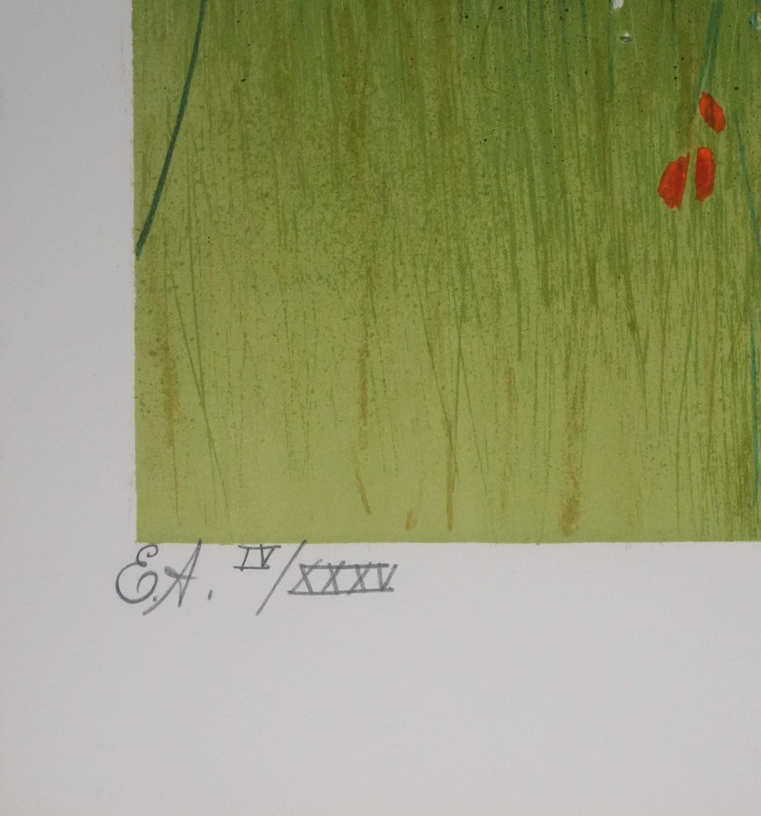 Yves Gannein The Poppy Field   Original Lithograph Signed photo vintage