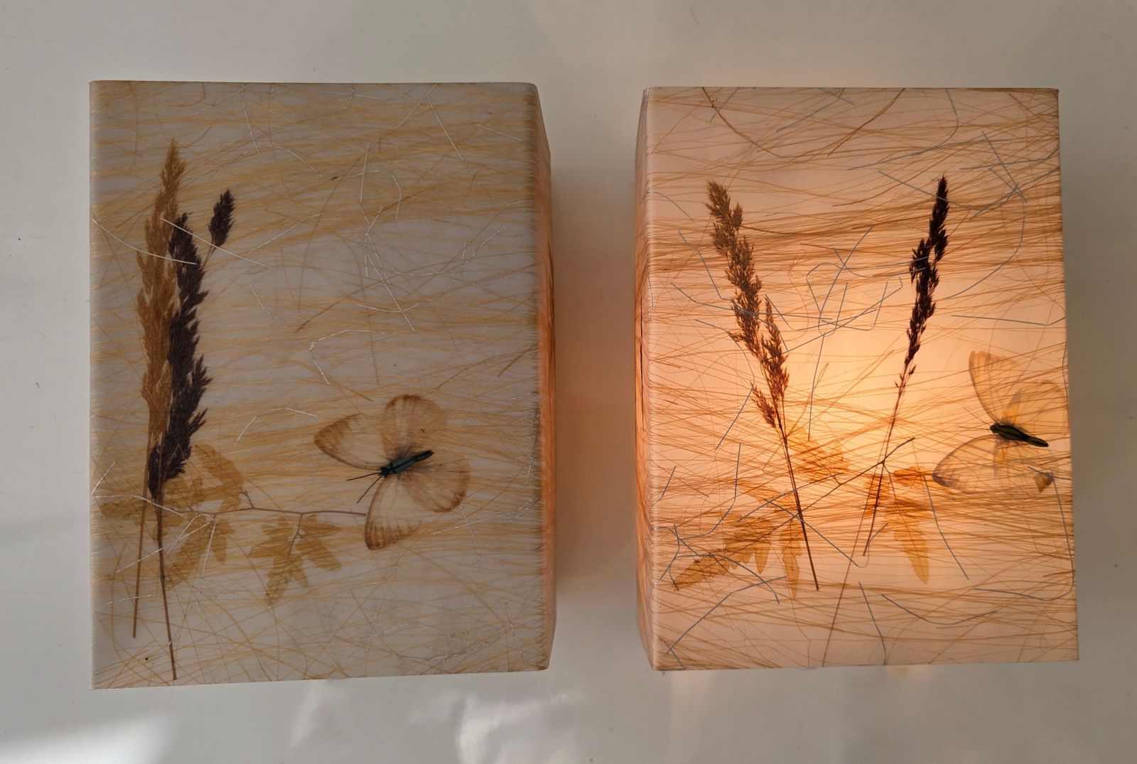 Pair Of 1970s Resin Wall Lamps With Botanical And Butterfly Inclusions photo Lighting