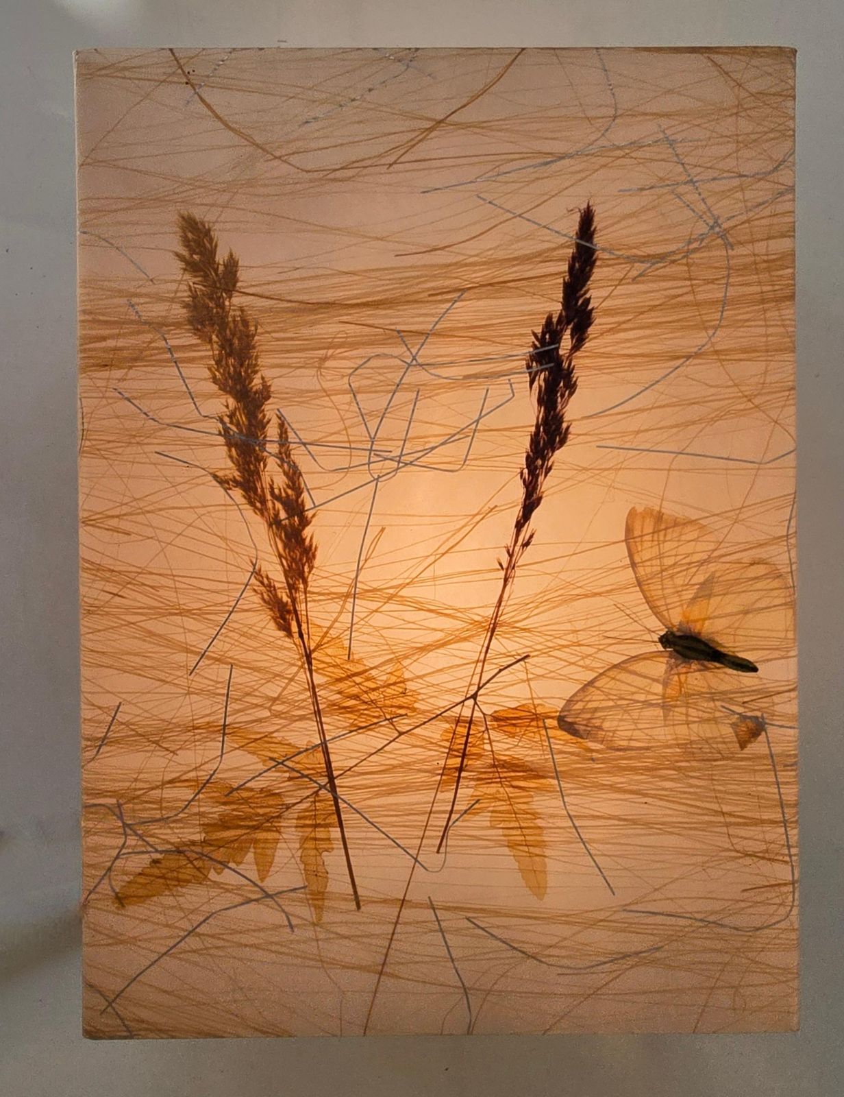Pair Of 1970s Resin Wall Lamps With Botanical And Butterfly Inclusions photo 2174.0