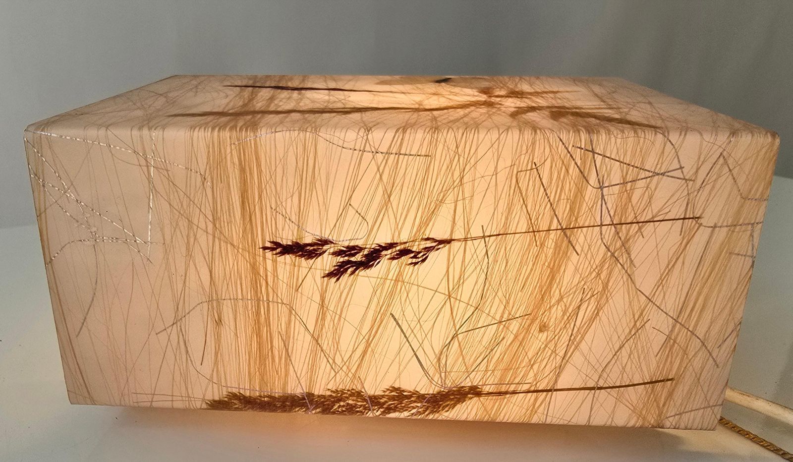 Pair Of 1970s Resin Wall Lamps With Botanical And Butterfly Inclusions photo buy