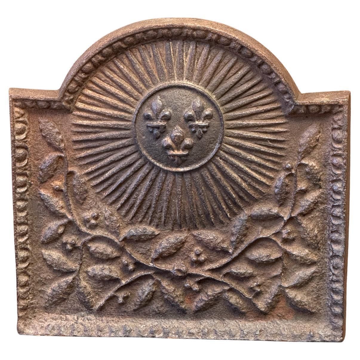 20th Century Louis XIV Style 'Arms Of France' Fireback / Backsplash