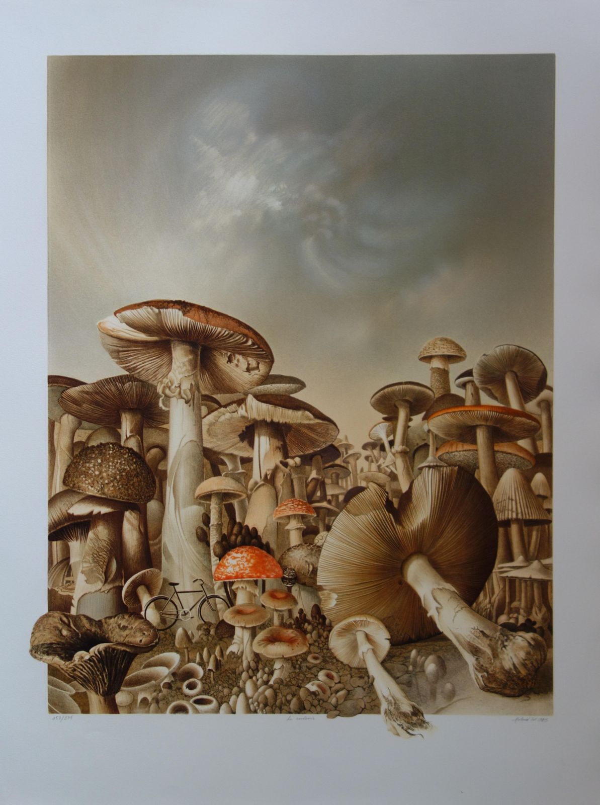 Roland Catbicycles And Mushrooms   Original Handsigned Lithograph1985