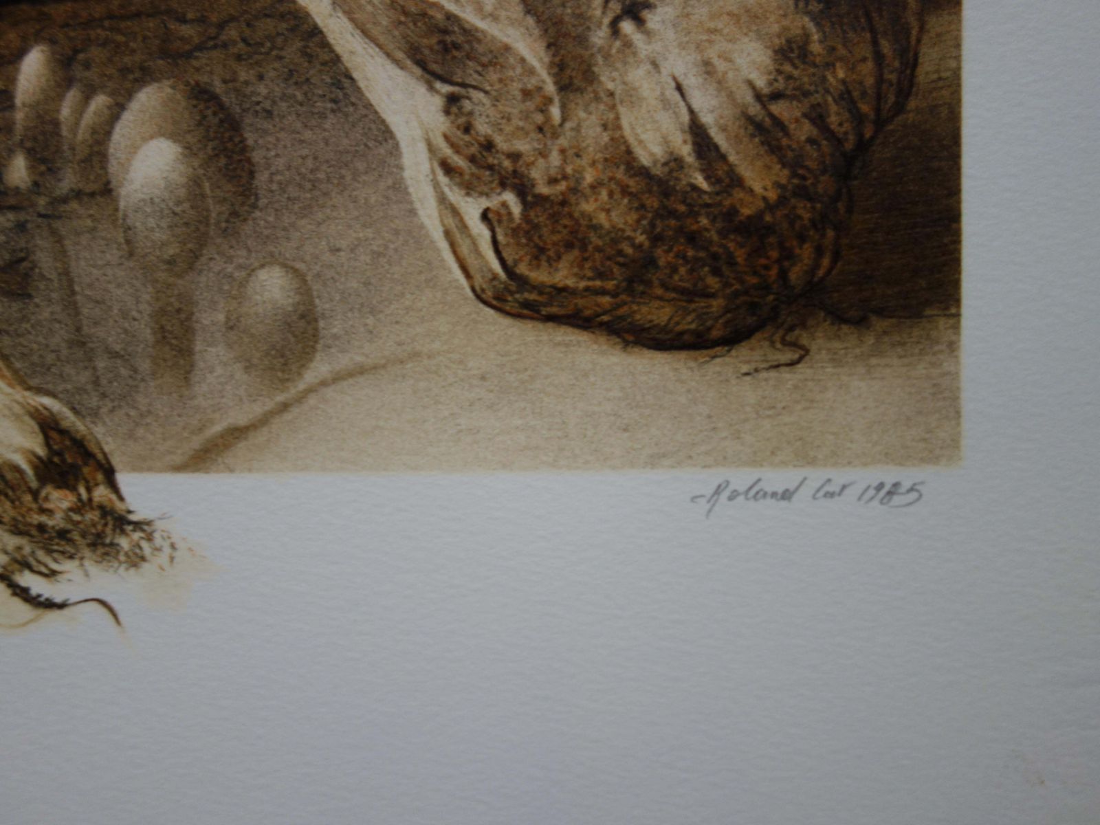 Roland Catbicycles And Mushrooms   Original Handsigned Lithograph1985 photo furniture