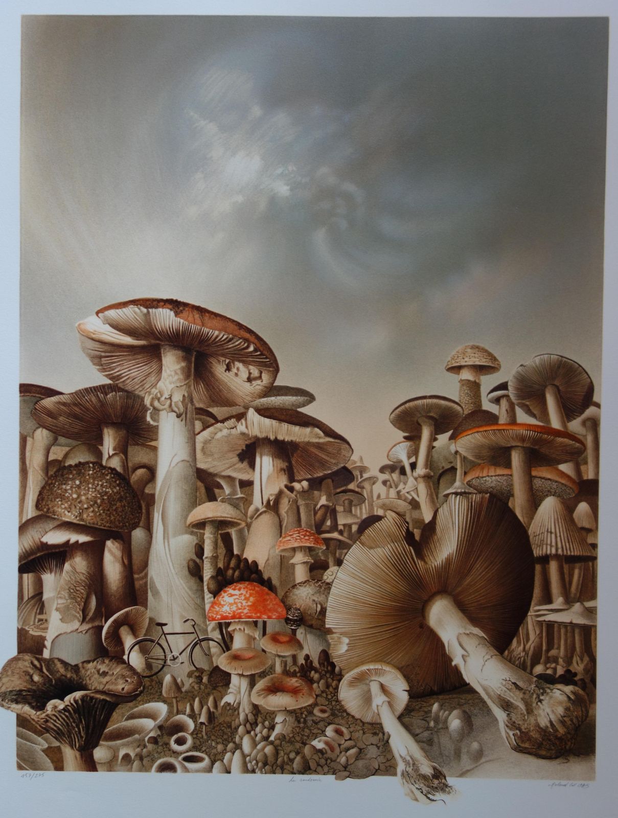 Roland Catbicycles And Mushrooms   Original Handsigned Lithograph1985 photo for sale