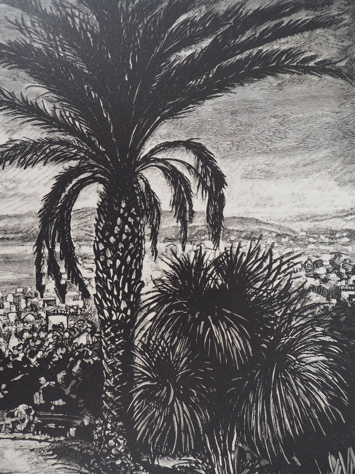 Jules Perrichoncannes : View From California Park   Original Wooodcut, Handsigned1927 photo for sale