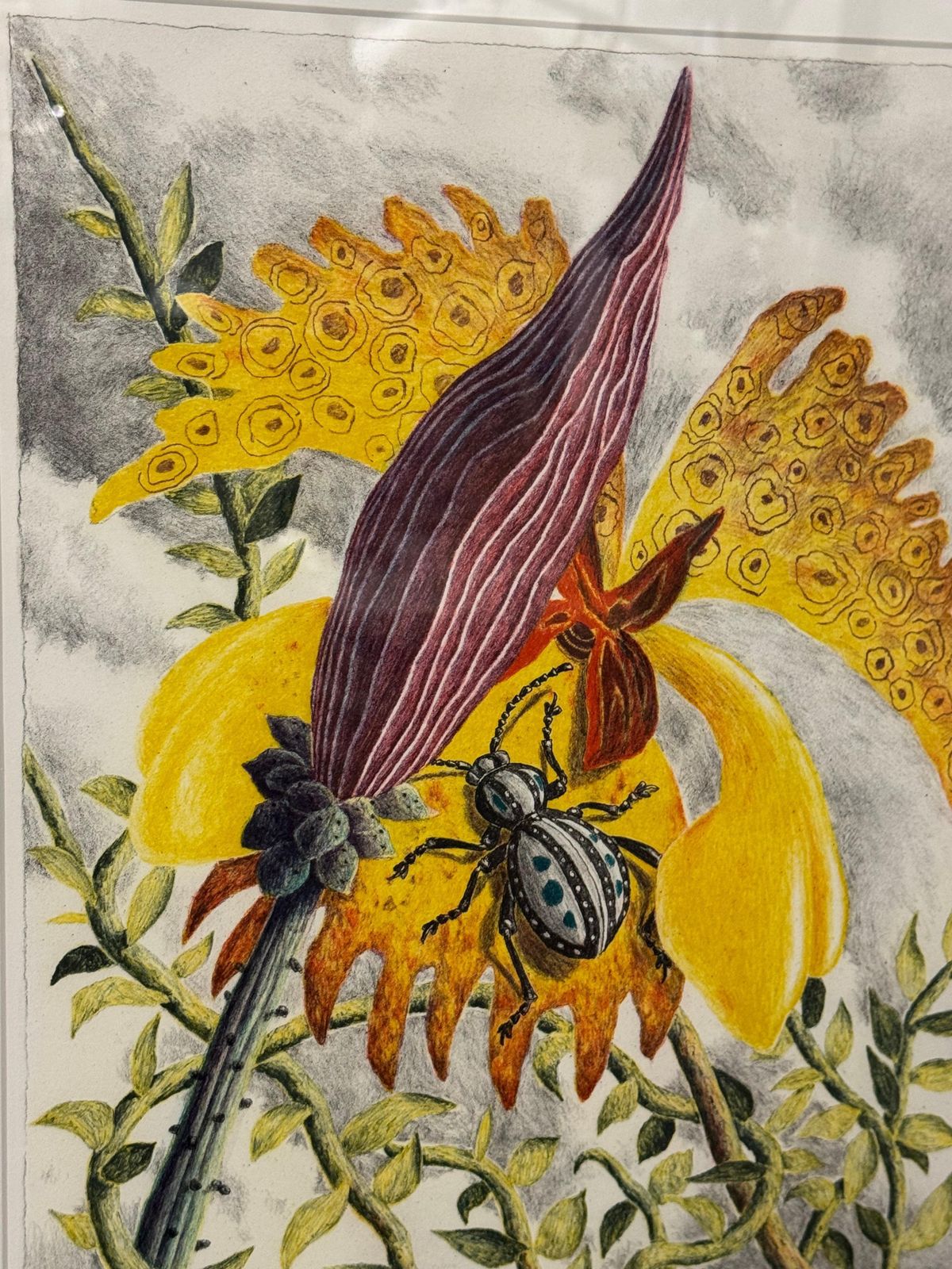 Karl Axel Pehrson Exotic Plants Kleurenlitho photo 731.0