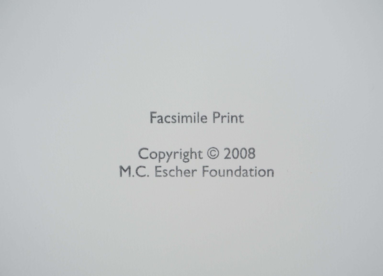 530.0 M.C. Escherascendant And Descendant   Signed Facsimile, Ltd /4502008 photo