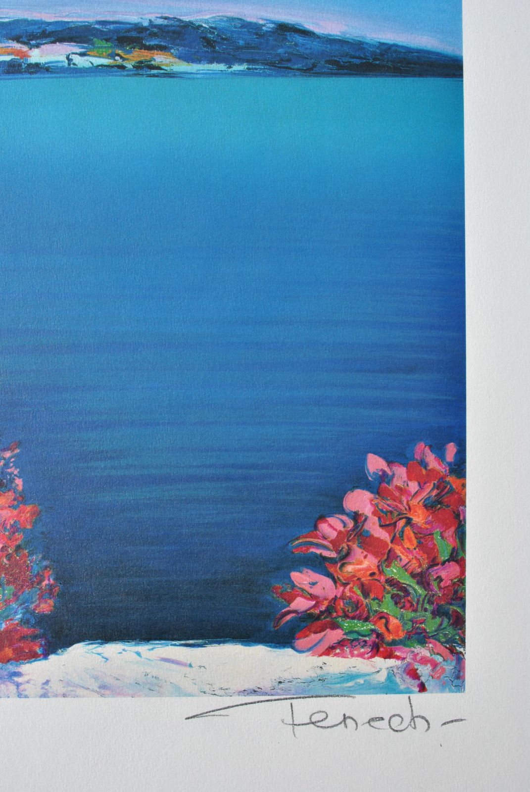 Serge Fenechriviera : Flowers At Santorini   Original Lithograph, Handsigned & Ltd /3901982 photo vinterior
