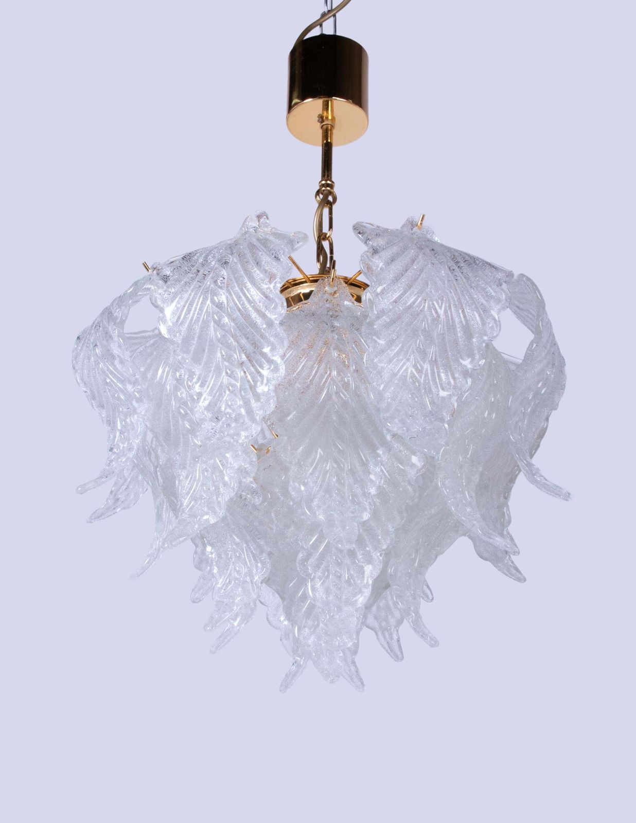 Novaresi Murano Petals Chandelier Glass & Brass, Italy 1970s photo 1903.0