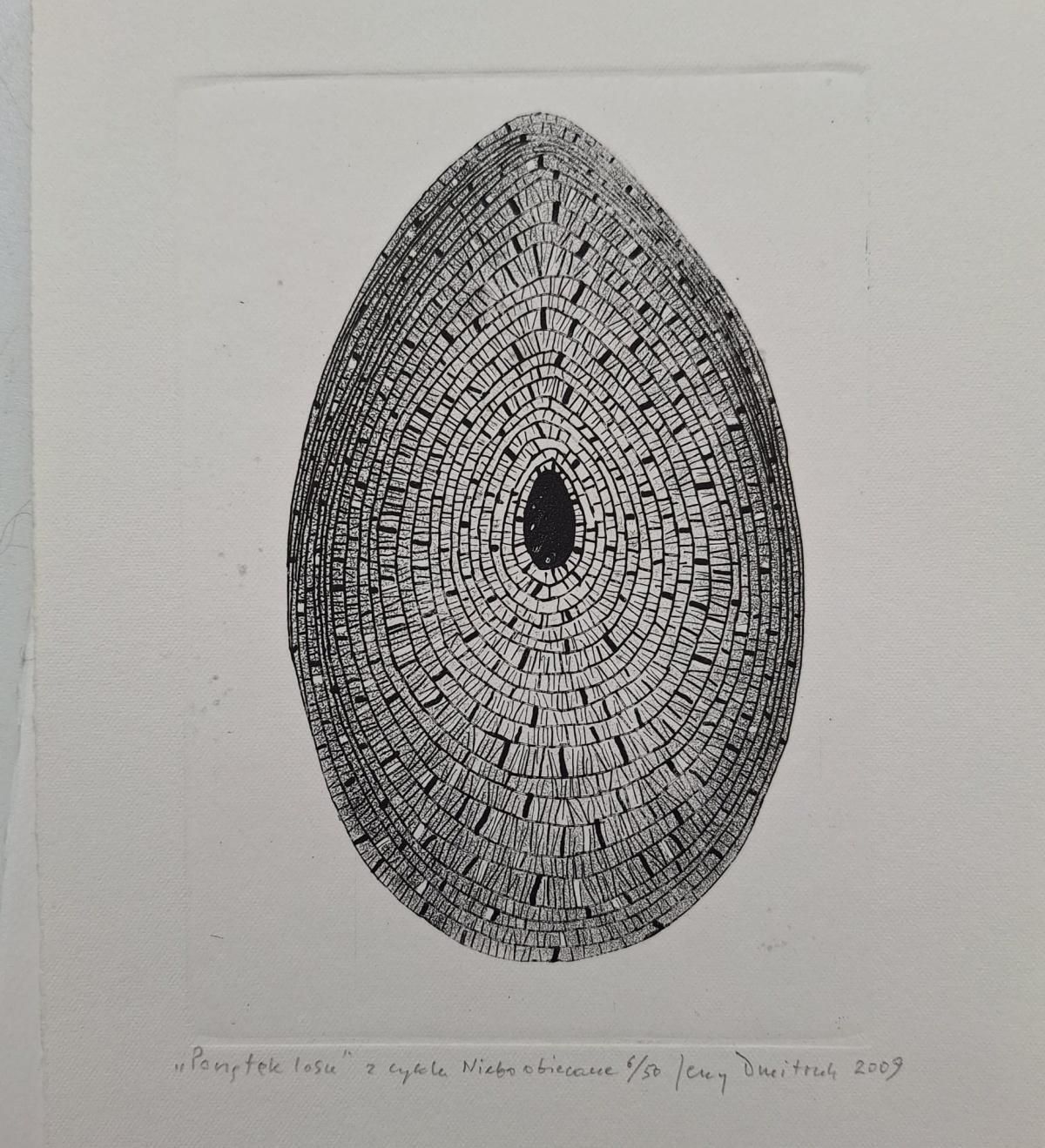 Jerzy Dmitrukthe Beginning Of Fate   21st Century, Contemporary Etching, Black And White2009 photo 266.0