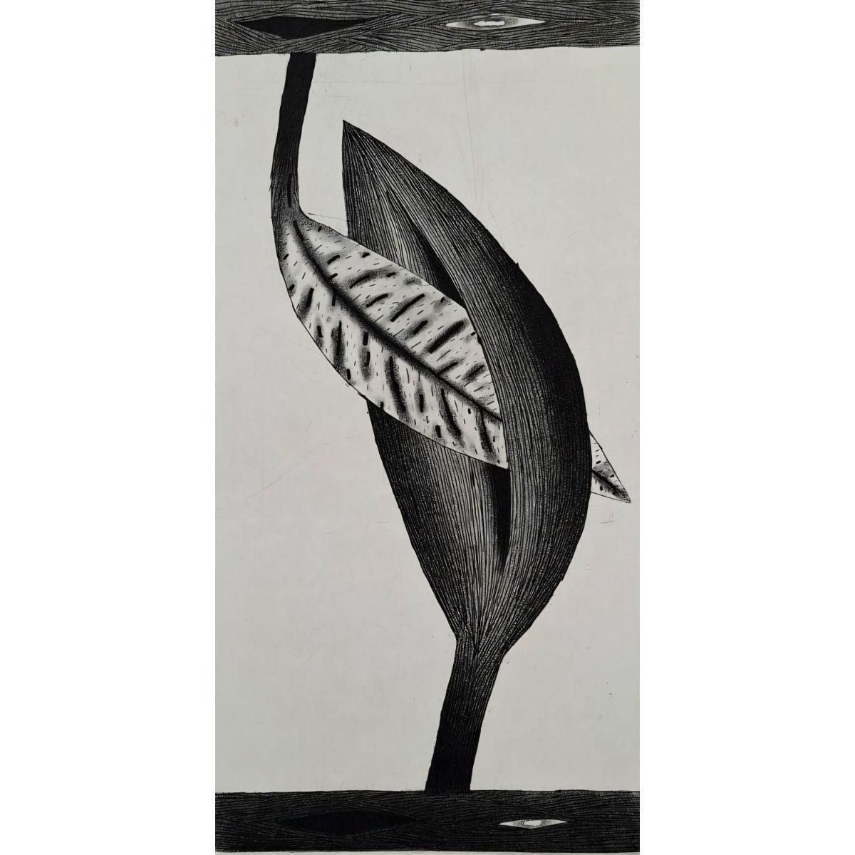 Jerzy Dmitruklove Letter   21st Century, Contemporary Etching, Black And White2015 photo for sale