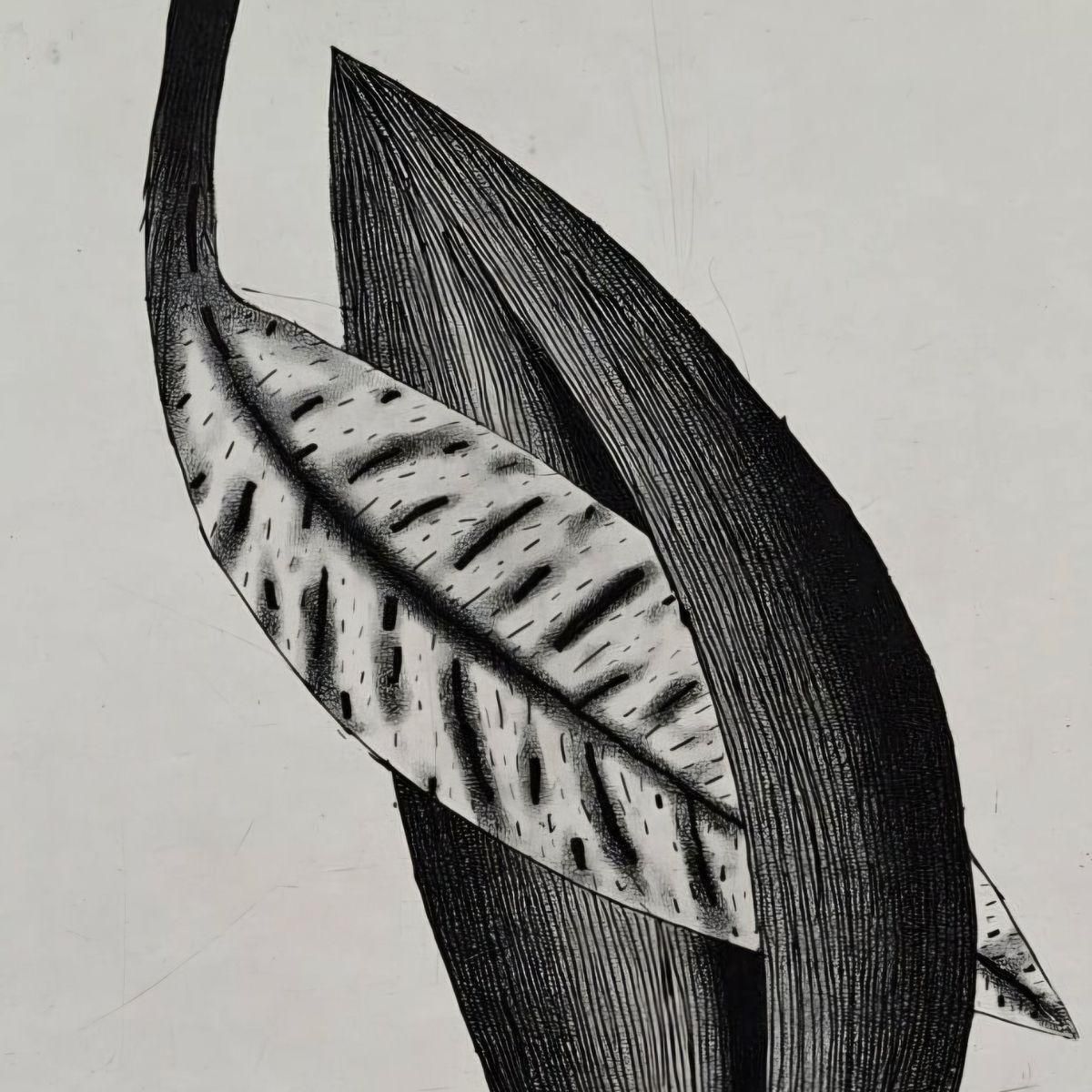 Jerzy Dmitruklove Letter   21st Century, Contemporary Etching, Black And White2015 photo Art