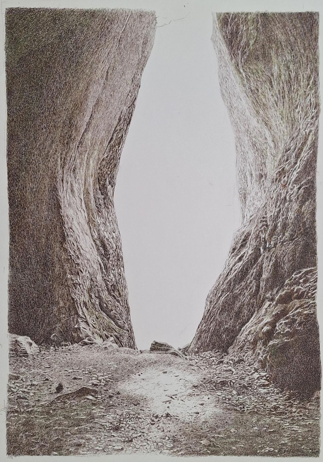 Elżbieta Siegoczyńskaravine. Figurative Drawing, Landscape, Realistic, Polish Artist2025
