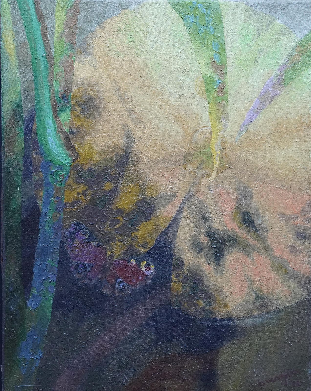 Art Glyn Morganbutterfly And Yellow Flower   Welsh Post Impressionist 70's Art Oil Painting1976 photo