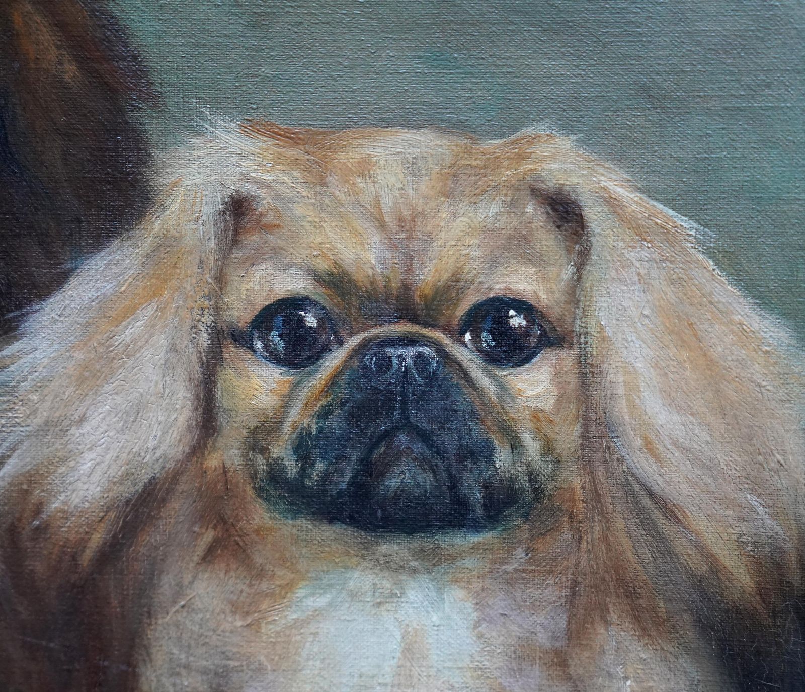 Hilda Annetta Walkerportrait Of Three Pedigree Pekingese Dogs   British 1930's Art Oil Painting1934 photo Art