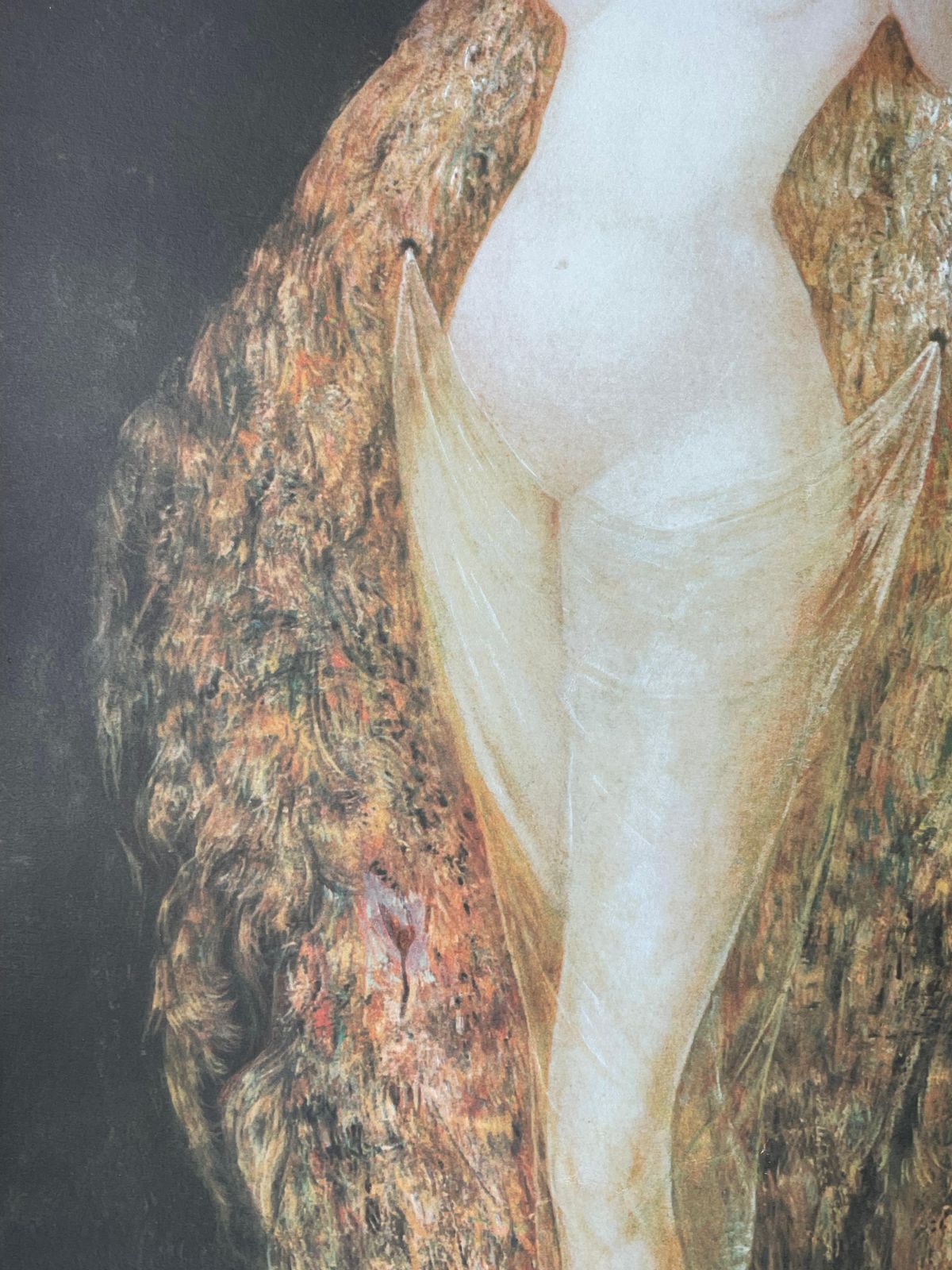 Leonor Finileonor Fini, Woman Dressed With Peacock Feathers, Circa 19701970 photo furniture
