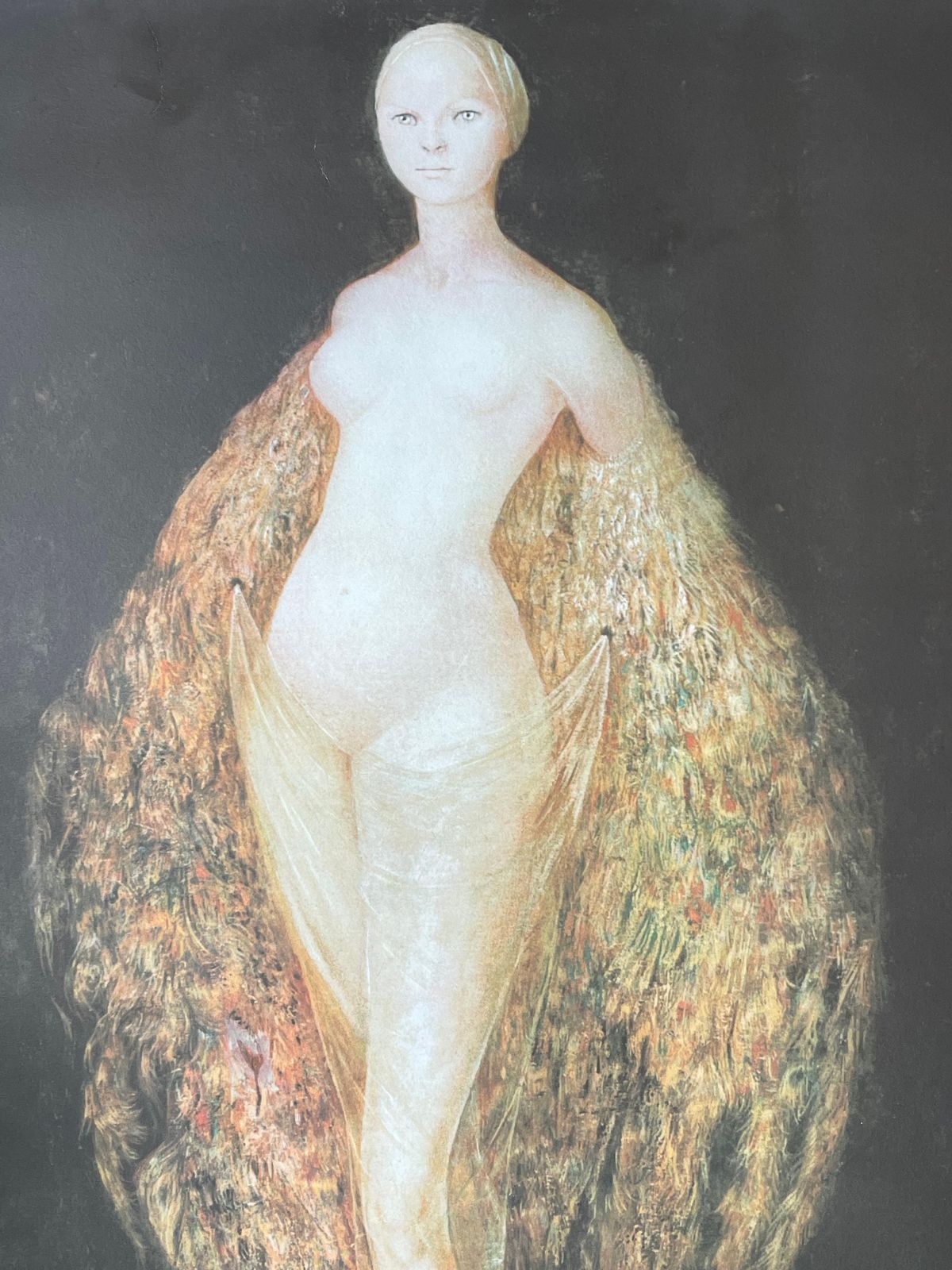 Leonor Finileonor Fini, Woman Dressed With Peacock Feathers, Circa 19701970 photo buy
