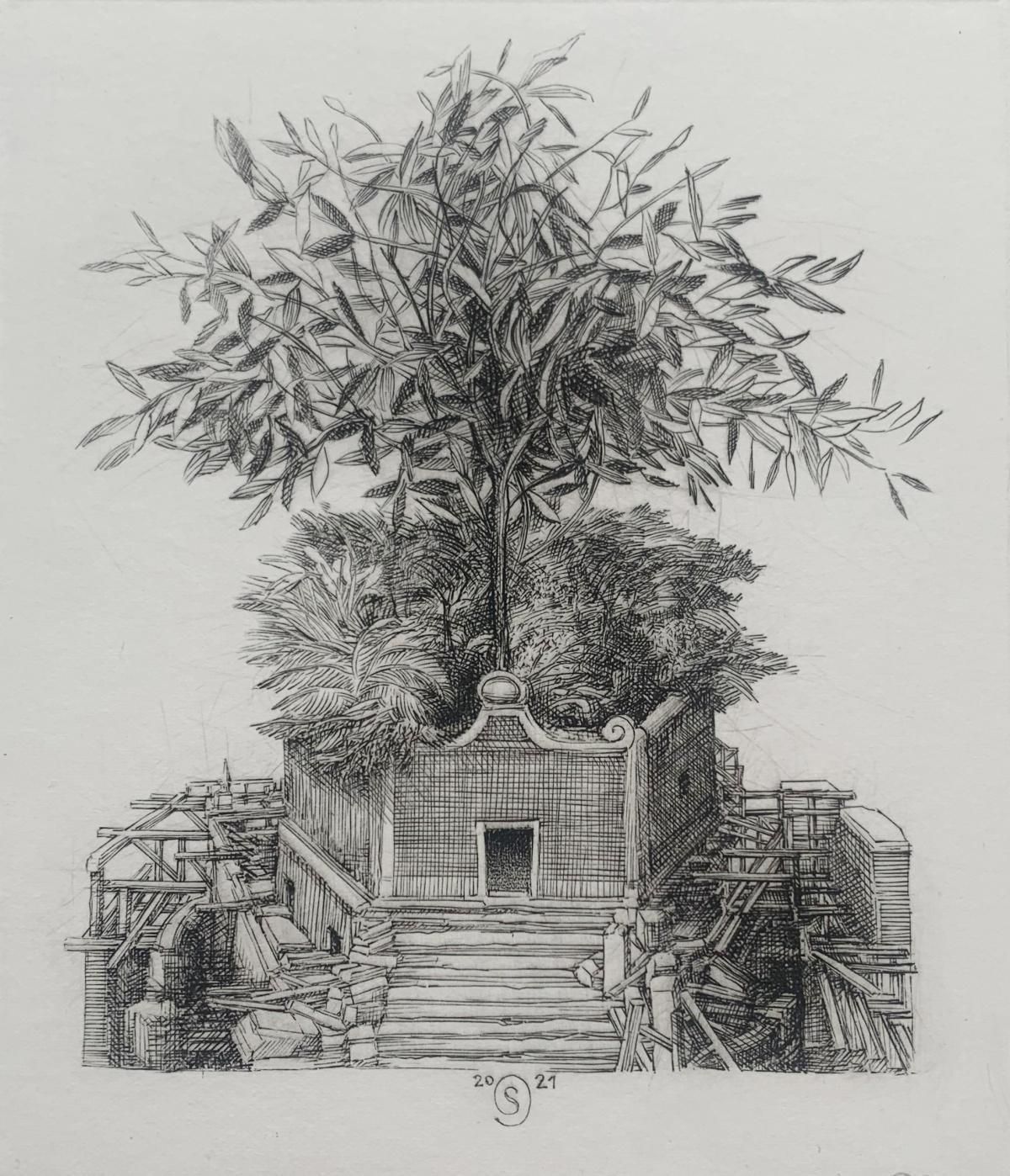 Krzysztof Skorczewski Olea European, Figurative Copperplate Print, Olive Tree   Peace, Polish Artist 2022