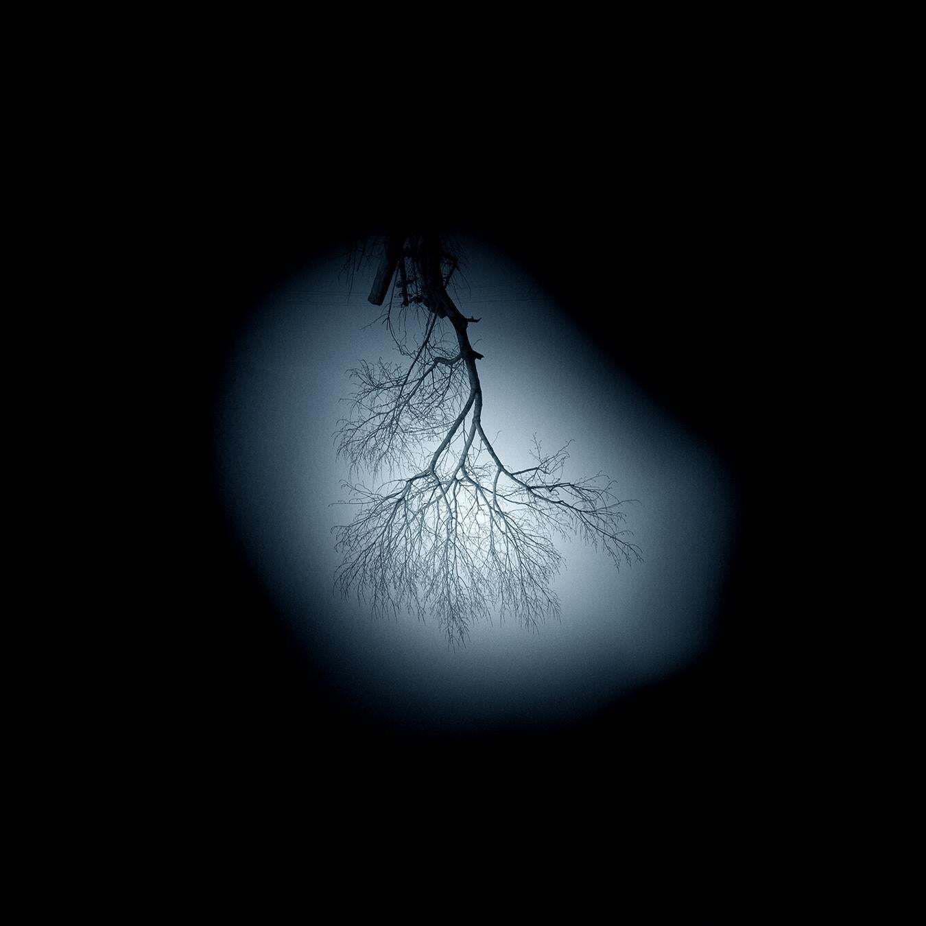 Andrea Santarlasci Reverse Of The Sky 2002 photo vinterior