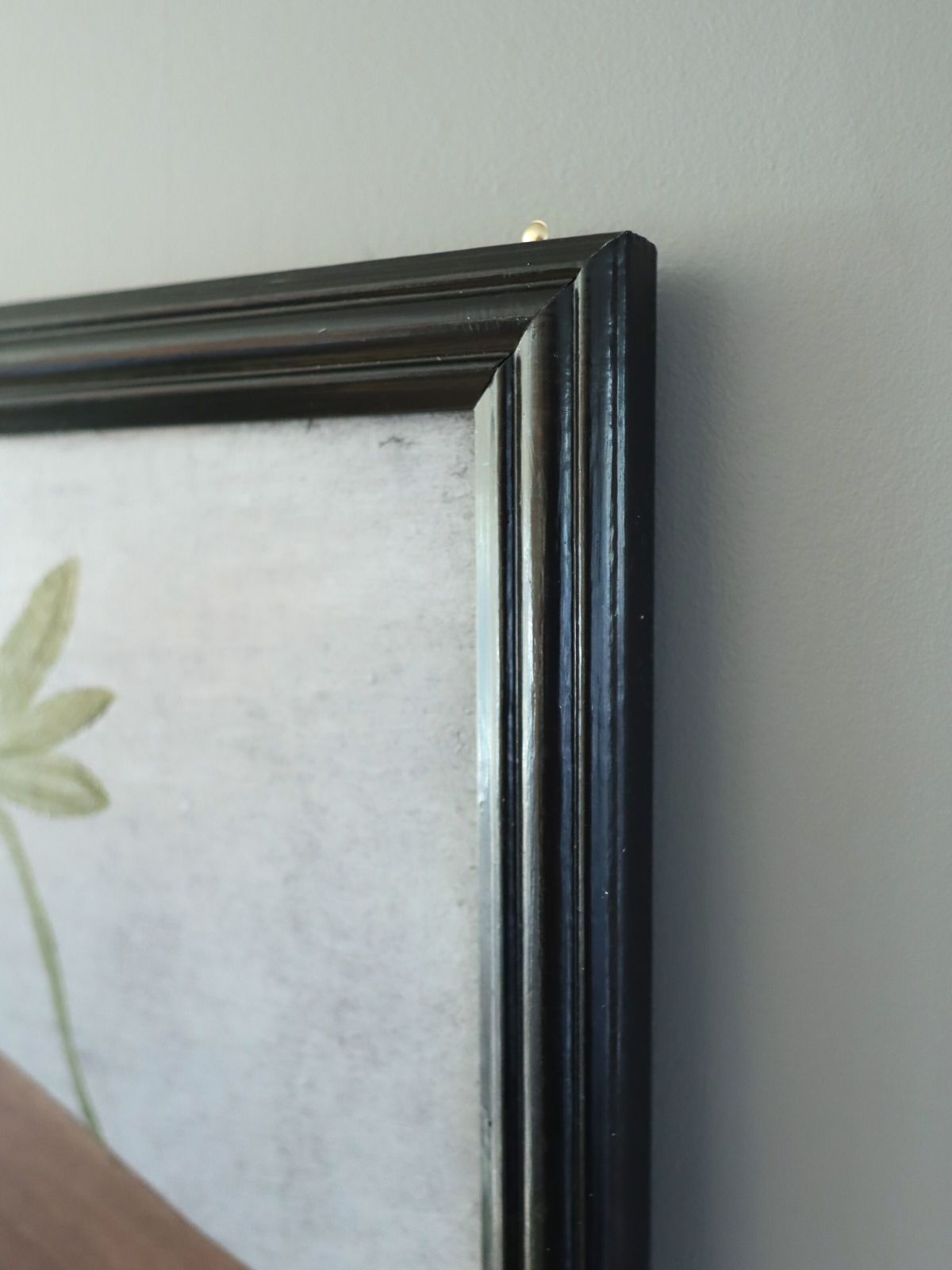 photo for sale Hanging Sloth In Oil Onto Panel