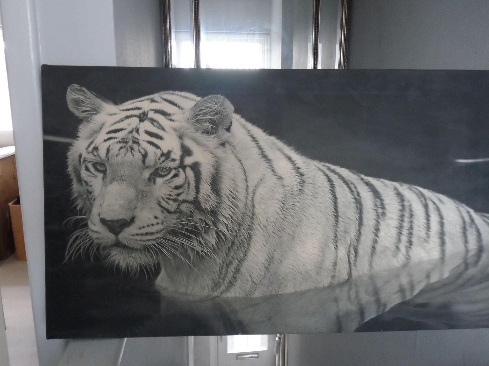 Black And White Wall Art Of White Tiger   Large 120cm X 50cm photo furniture